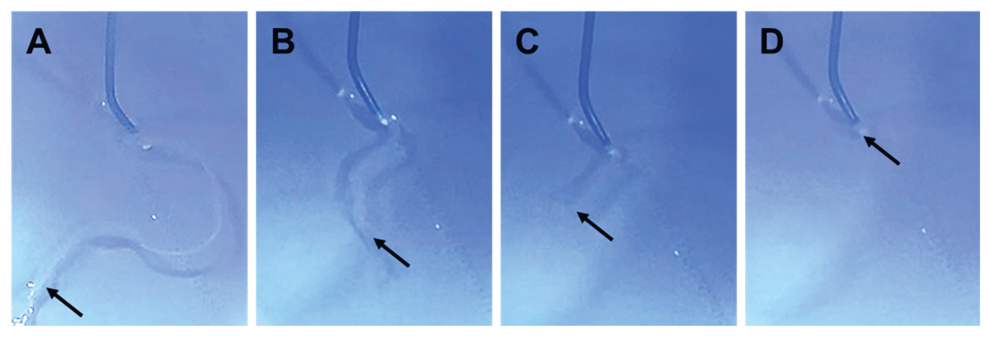 Preprints 195188 g005