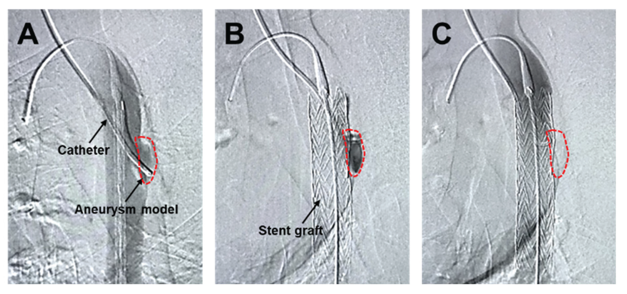 Preprints 195188 g006