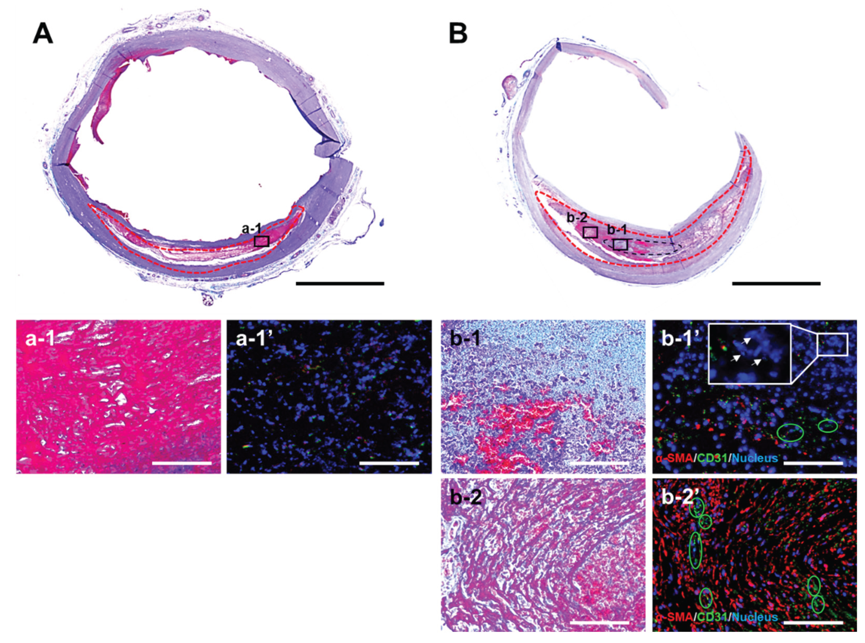Preprints 195188 g008
