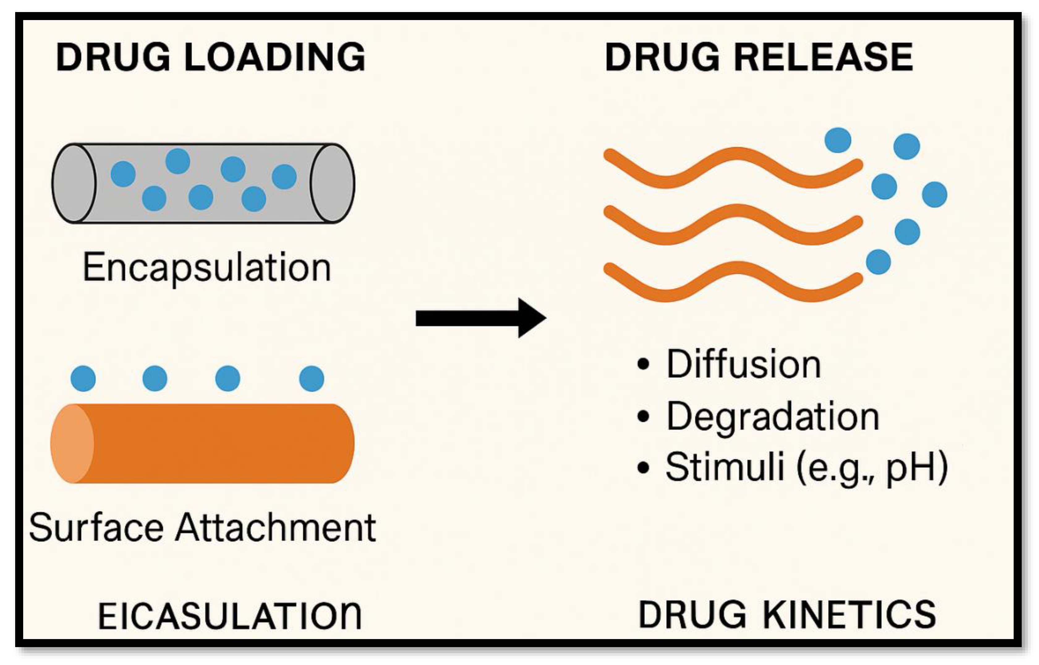 Preprints 169516 g002