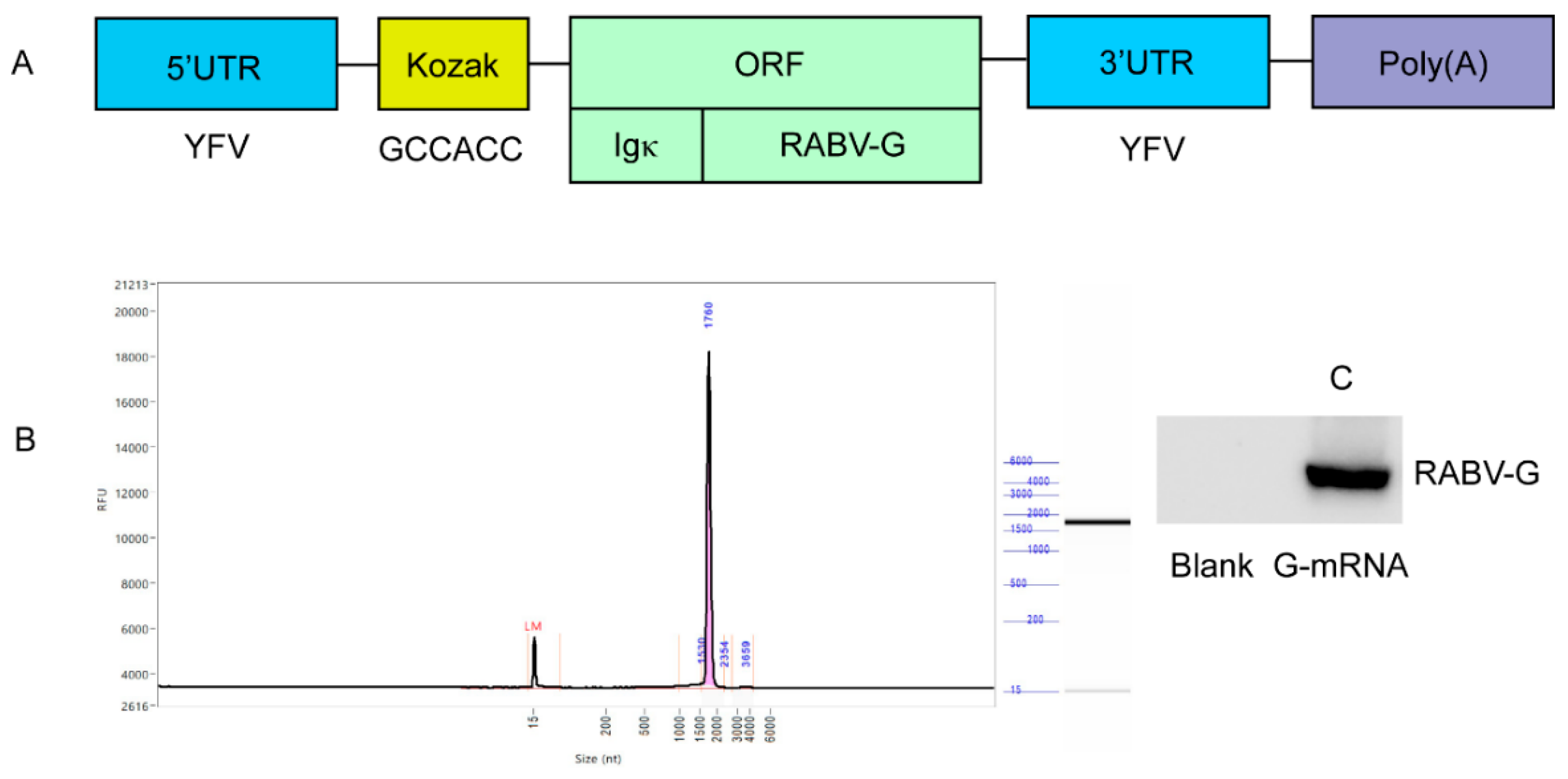 Preprints 180815 g001