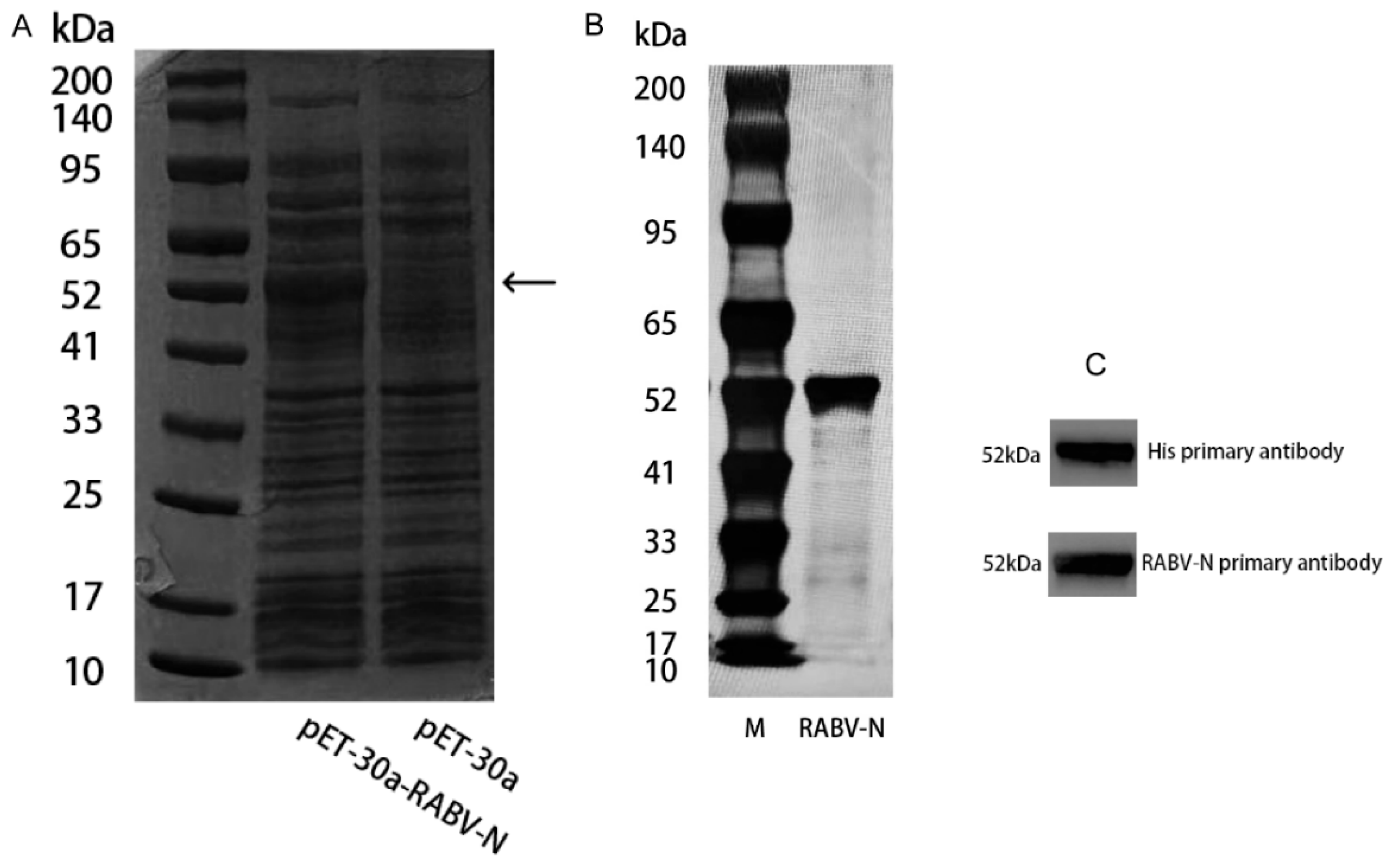 Preprints 180815 g002