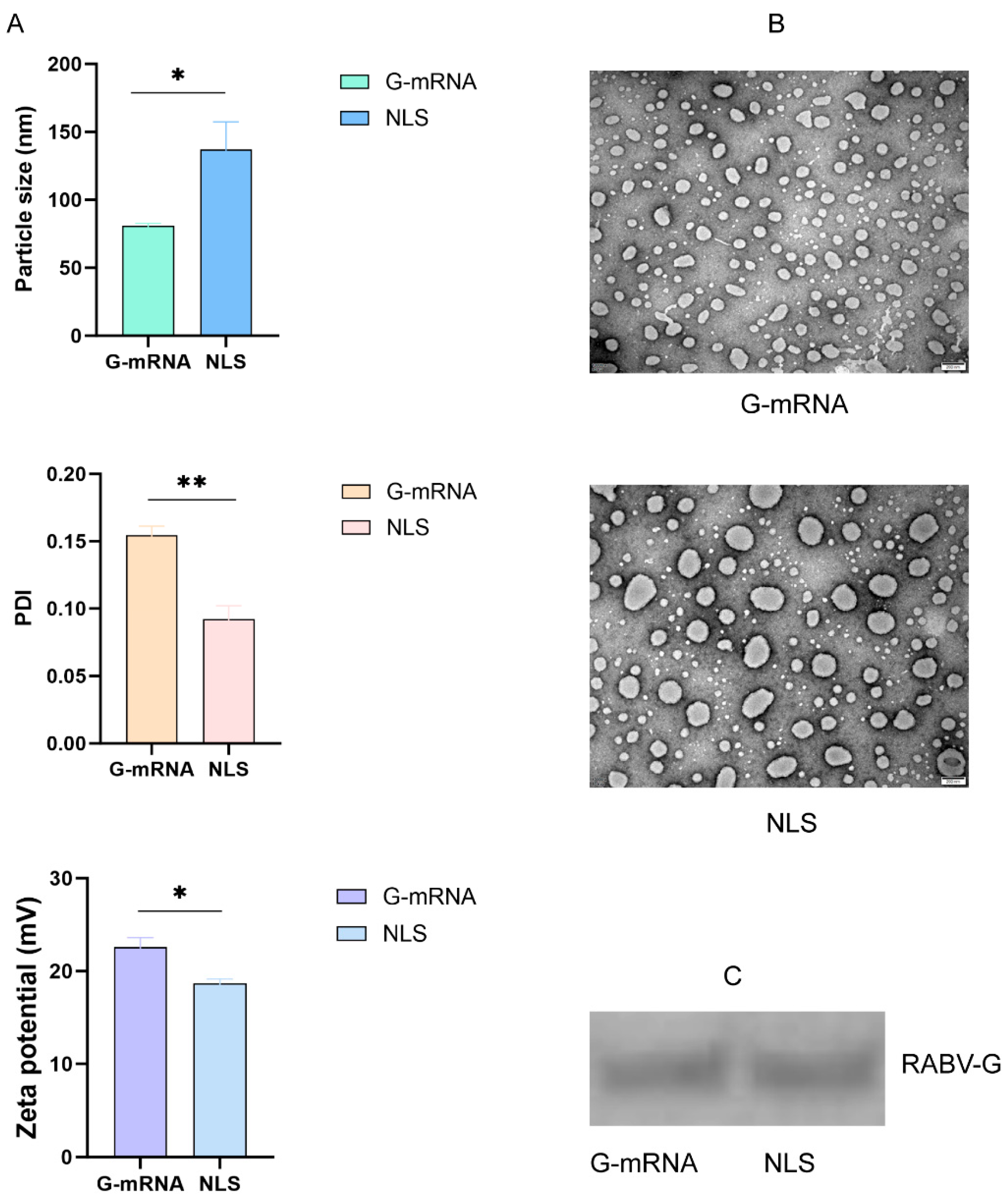 Preprints 180815 g003