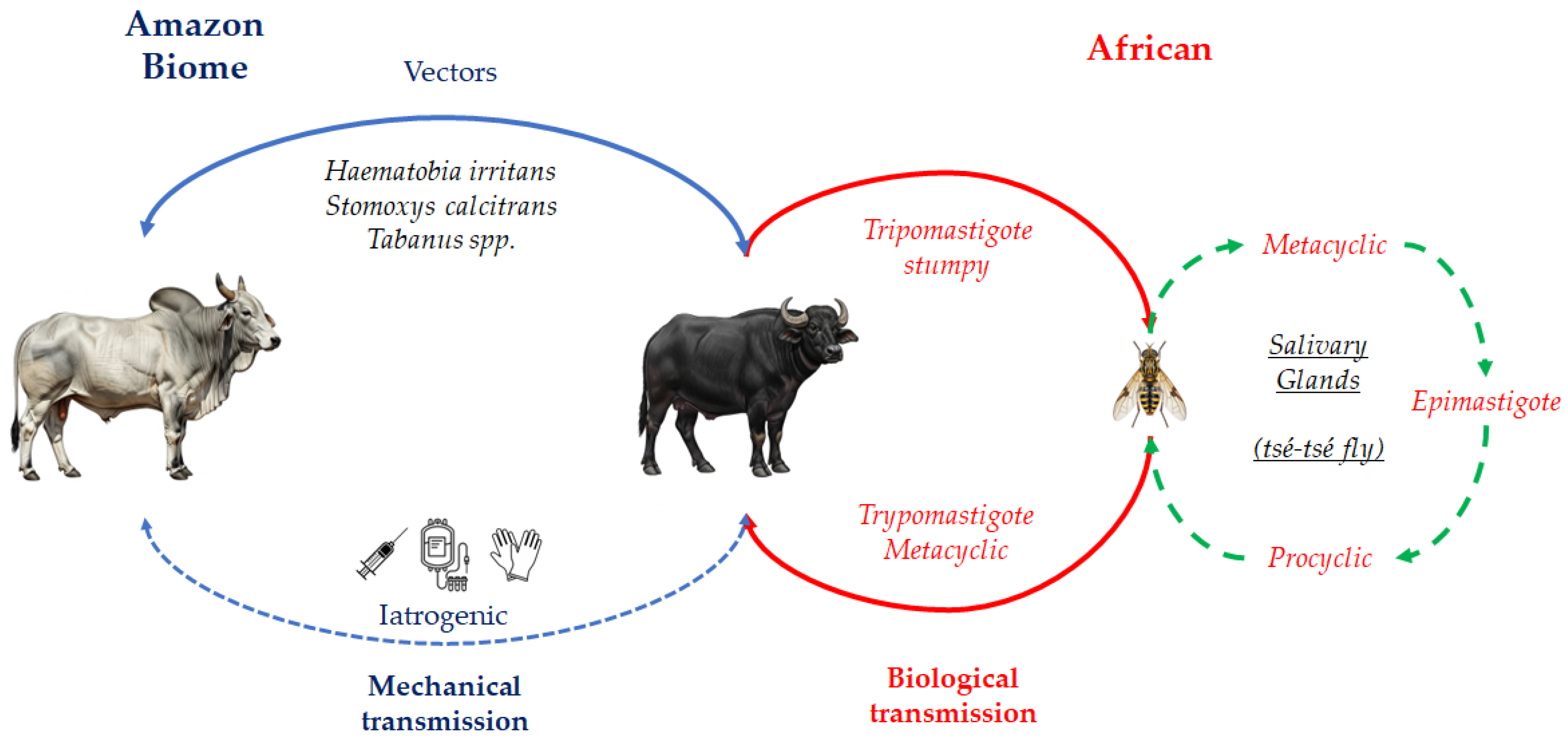 Preprints 194372 g002