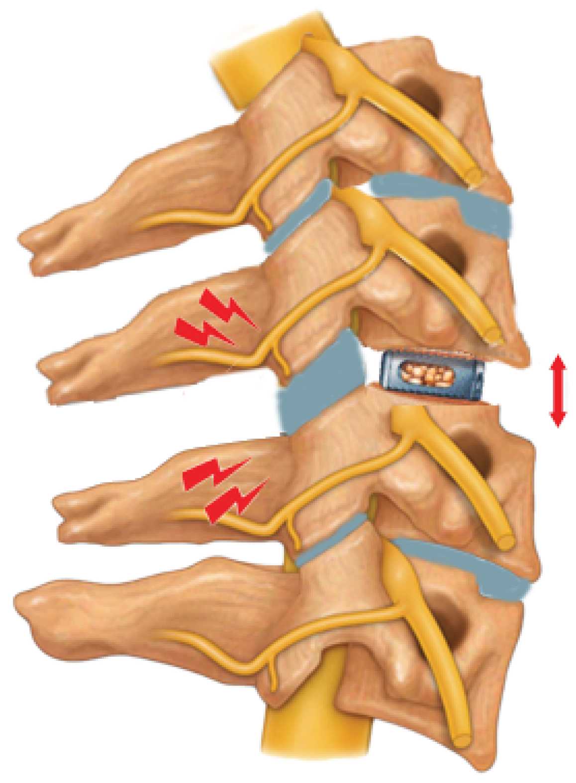 Preprints 102021 g001