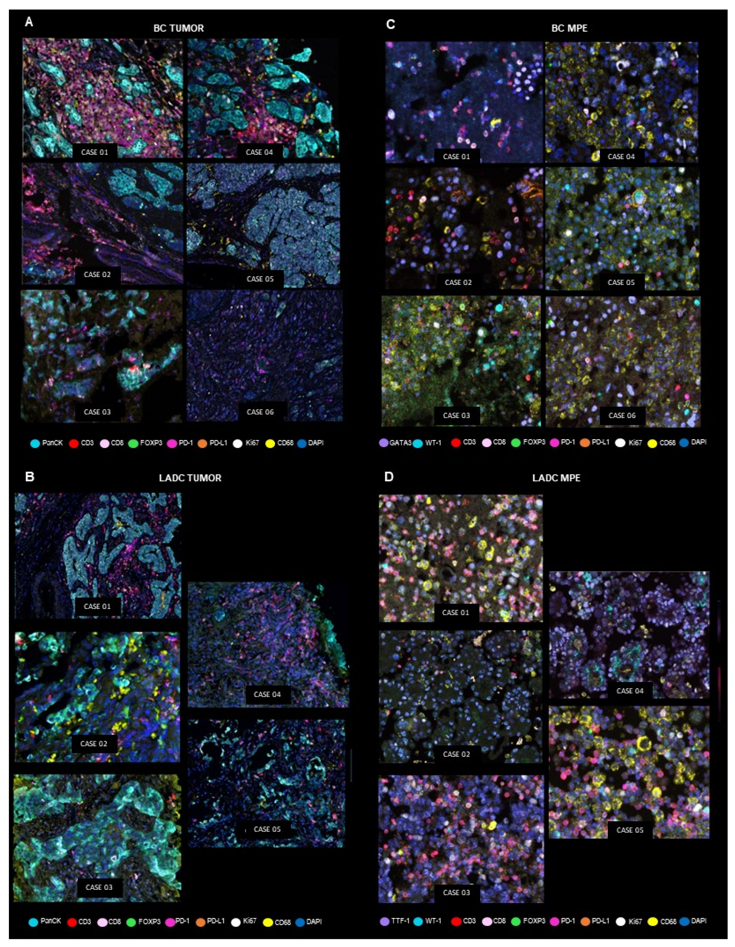 Preprints 75896 g001