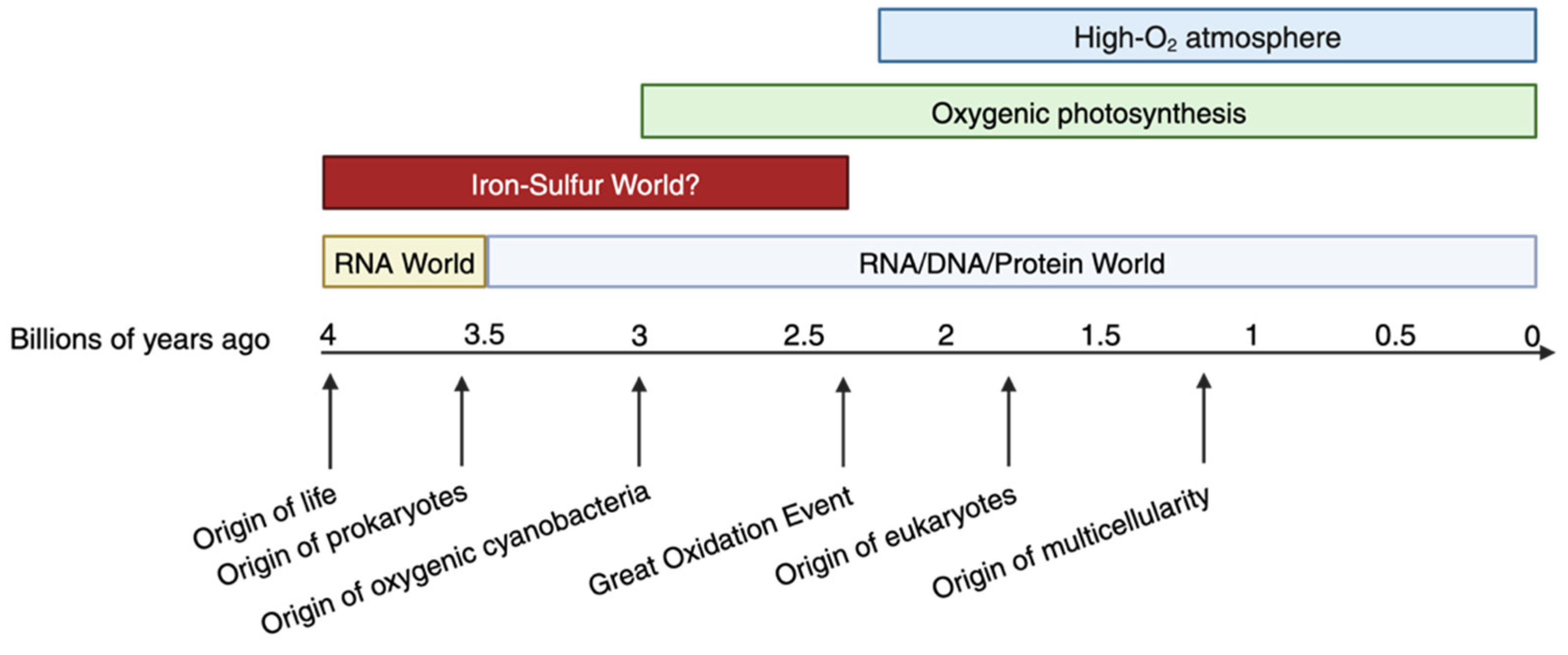 Preprints 169276 g001