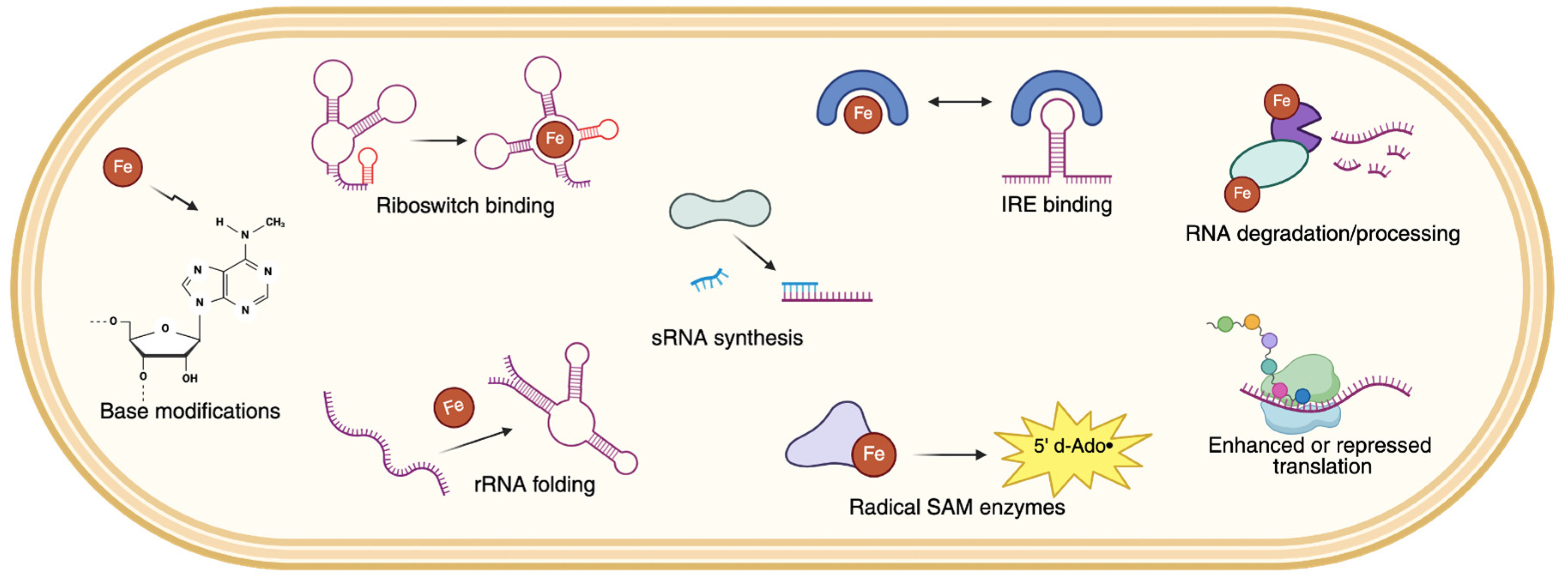 Preprints 169276 g002