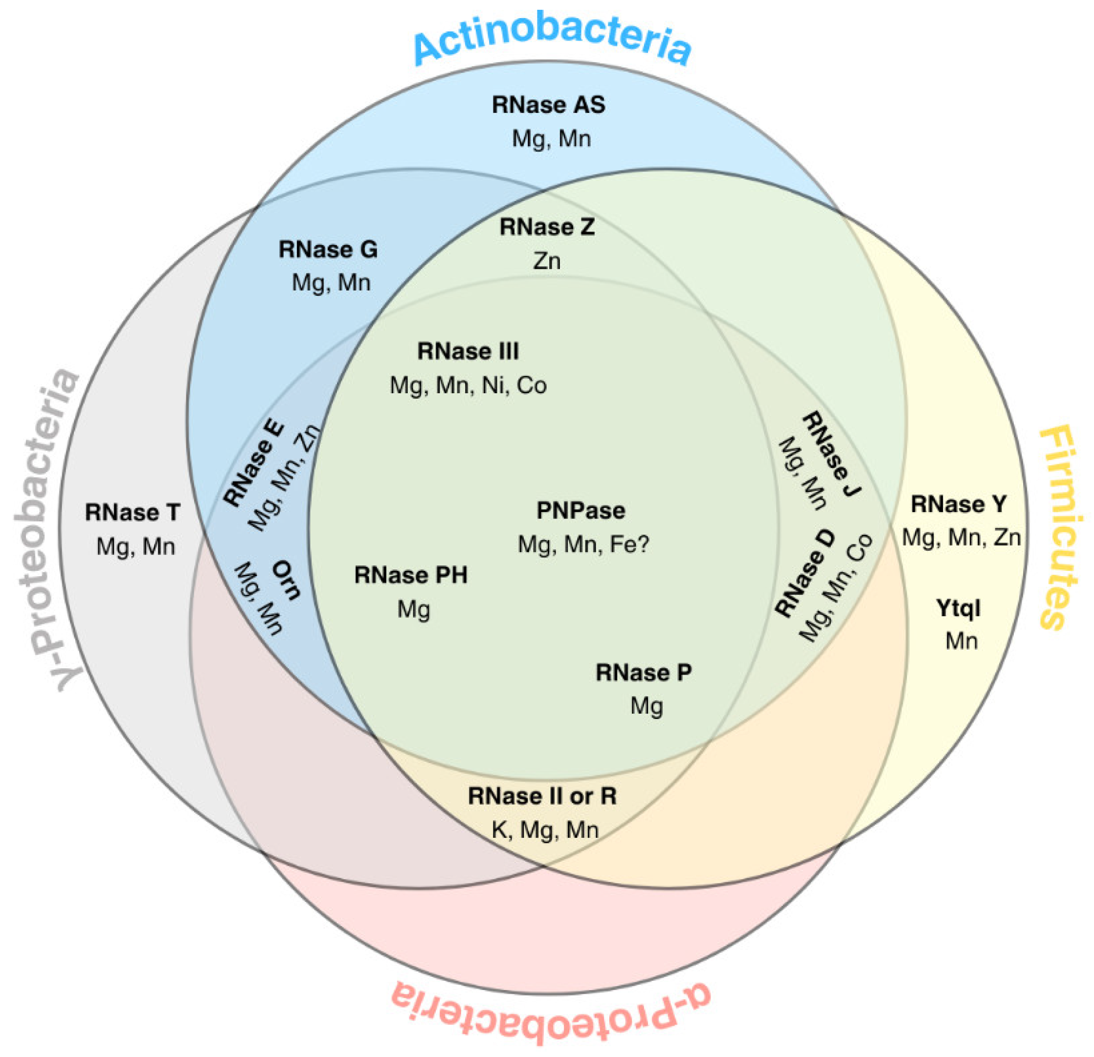 Preprints 169276 g003