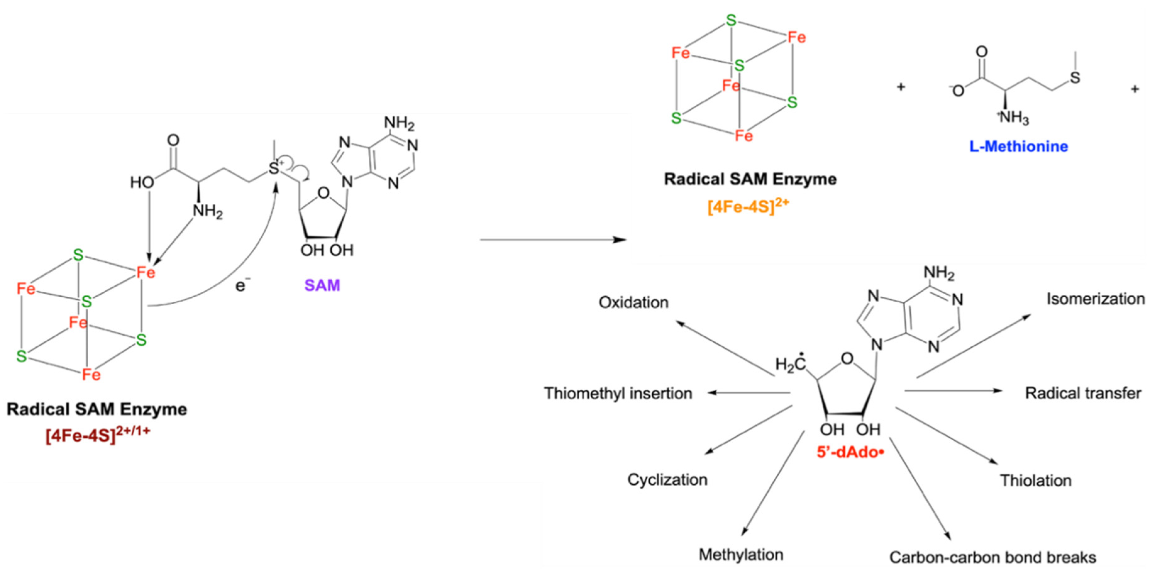 Preprints 169276 g005