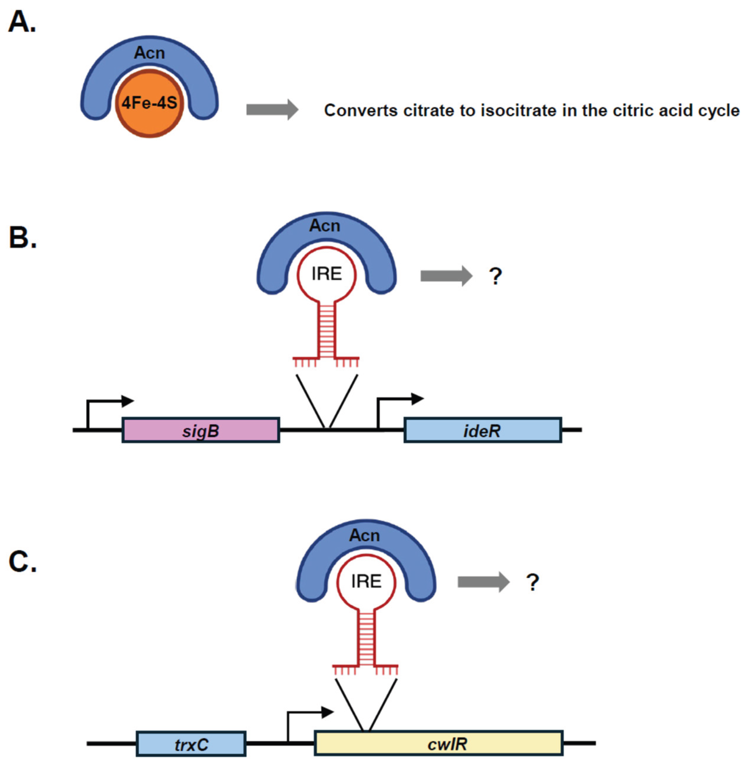 Preprints 169276 g006