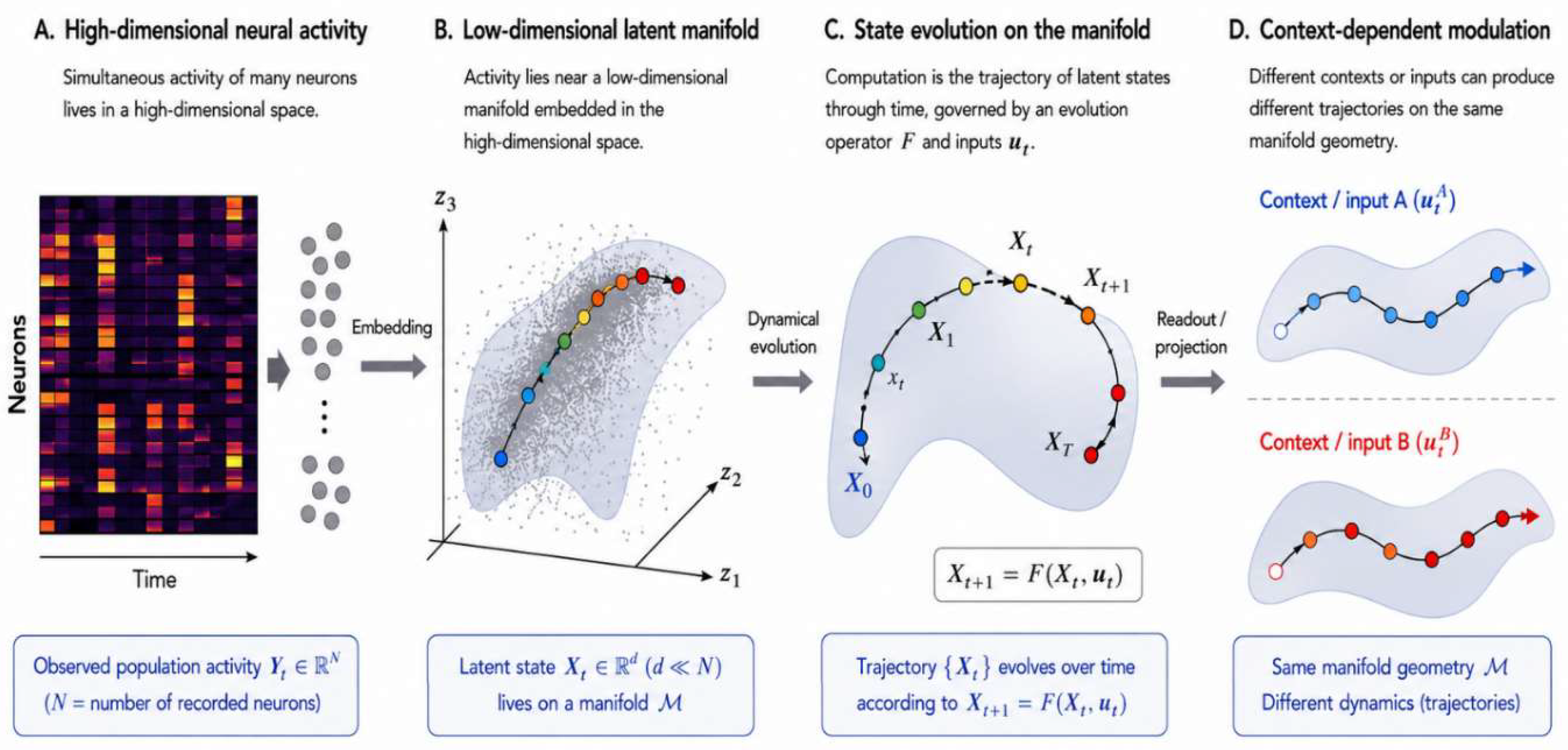 Learning Neural Evolution Operators: From Decoding to Identifiable ...