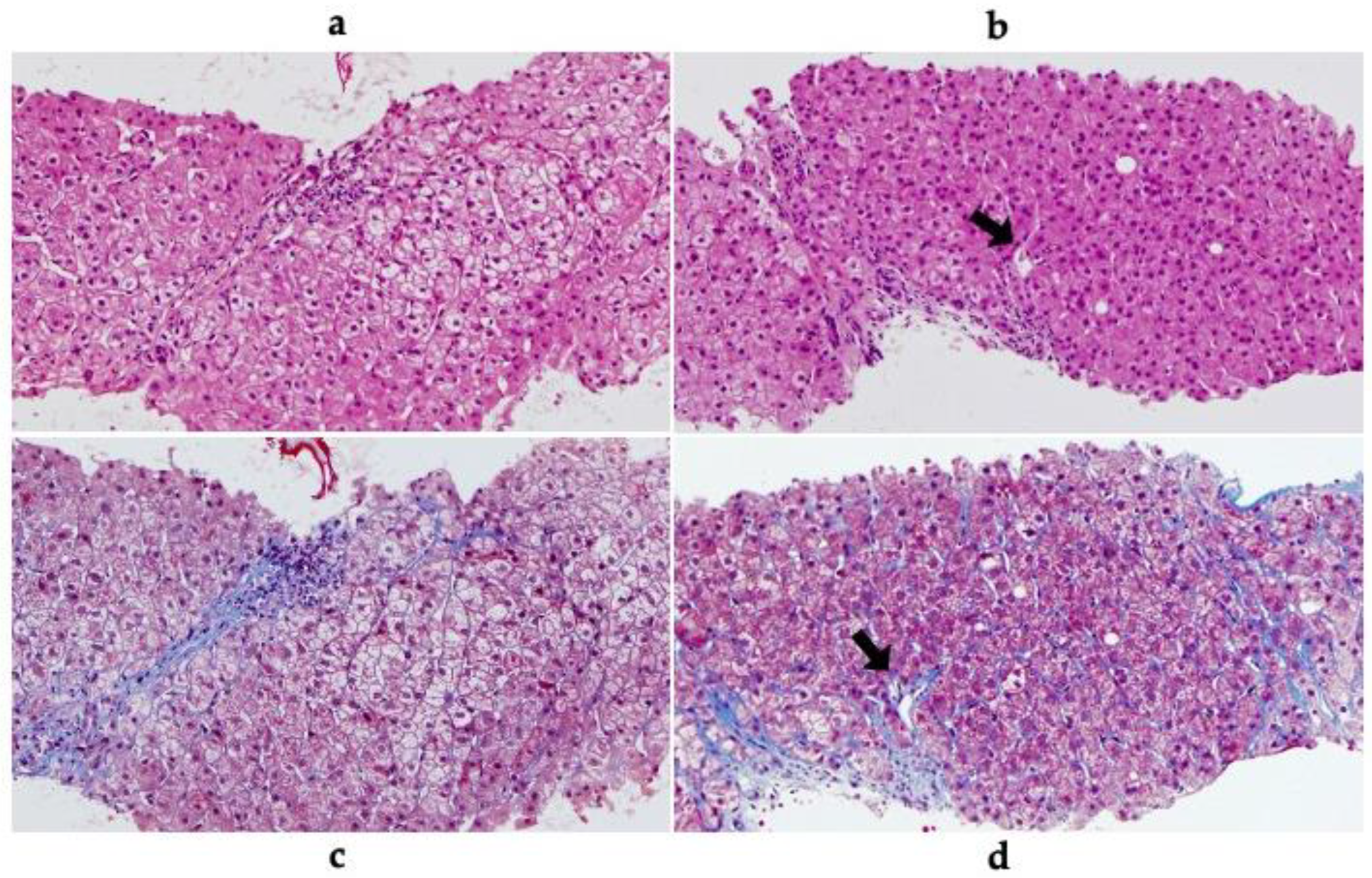 Preprints 93844 g002