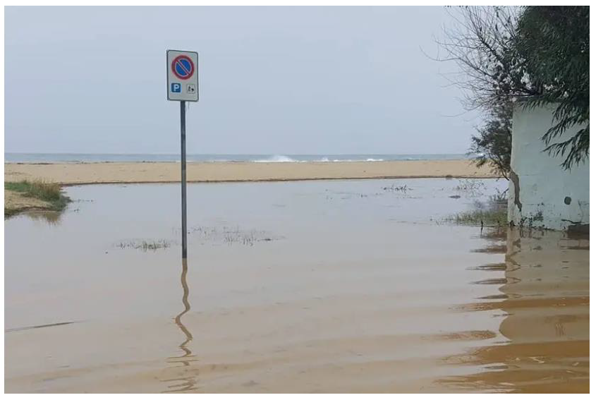 Preprints 152608 g003