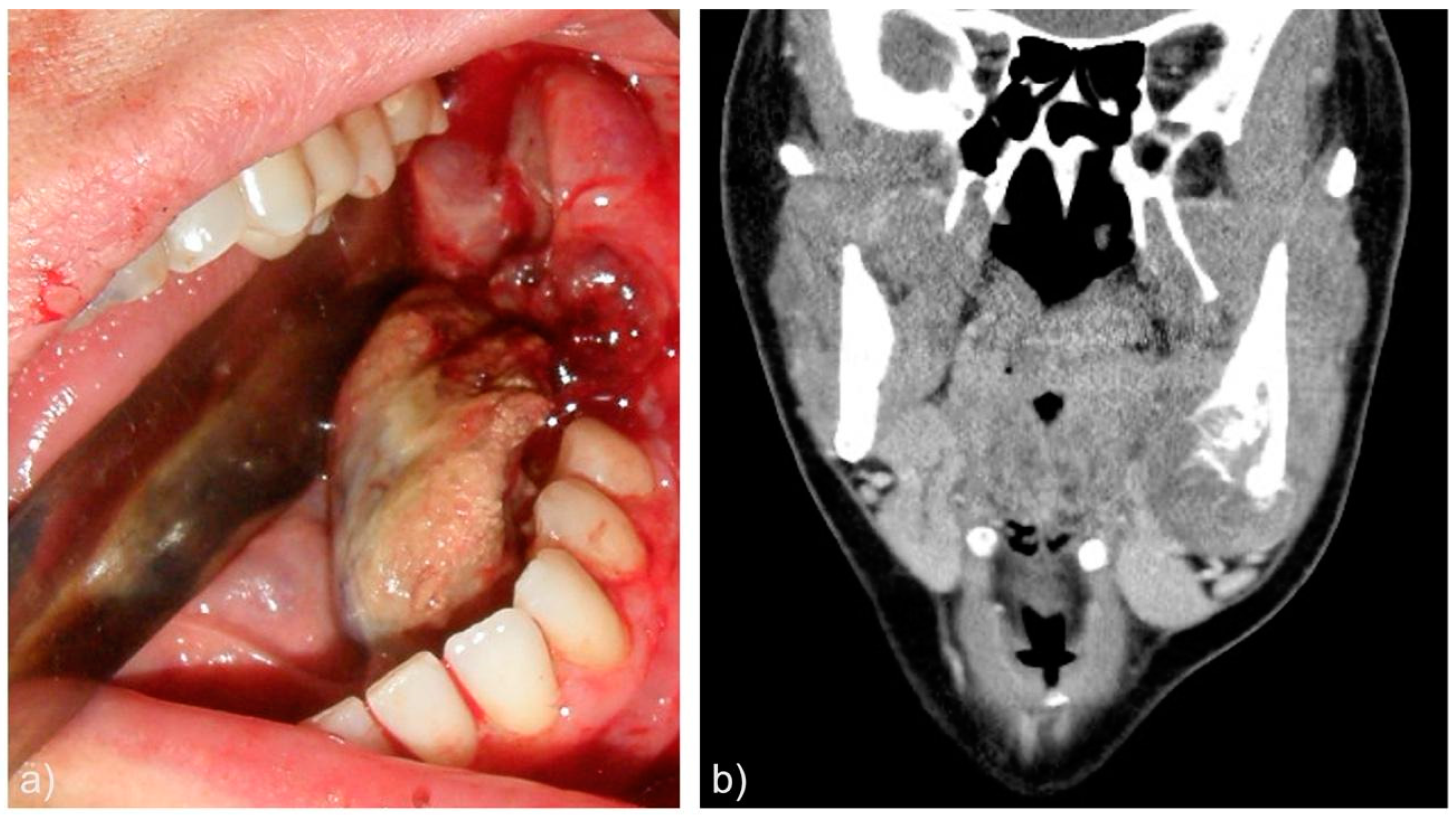Preprints 75305 g001