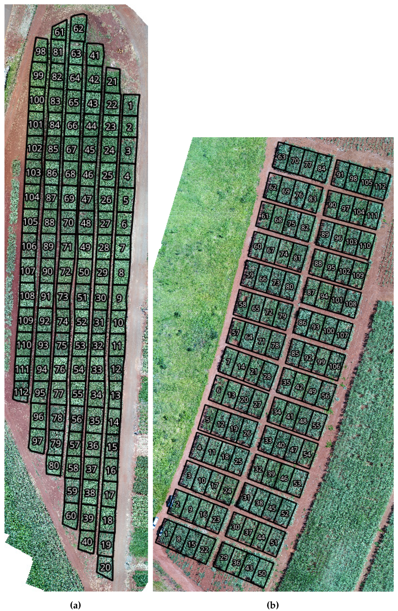 Preprints 149158 g001