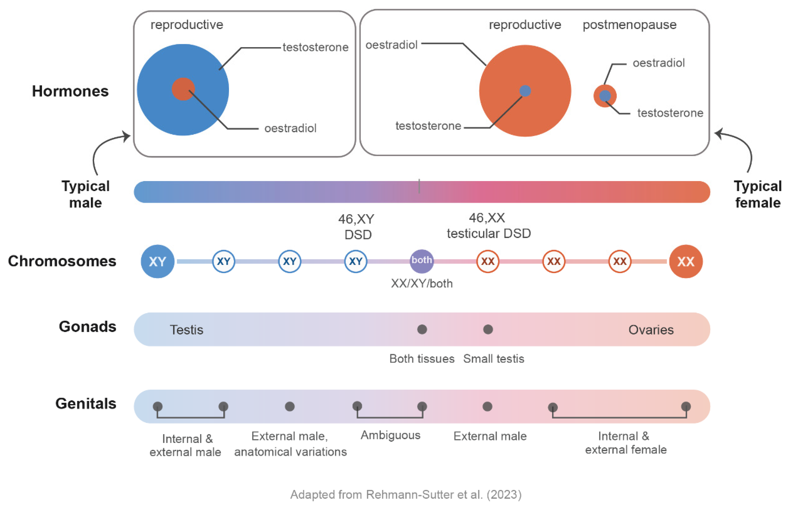 Preprints 226411 g003 Preprints 226411 g003