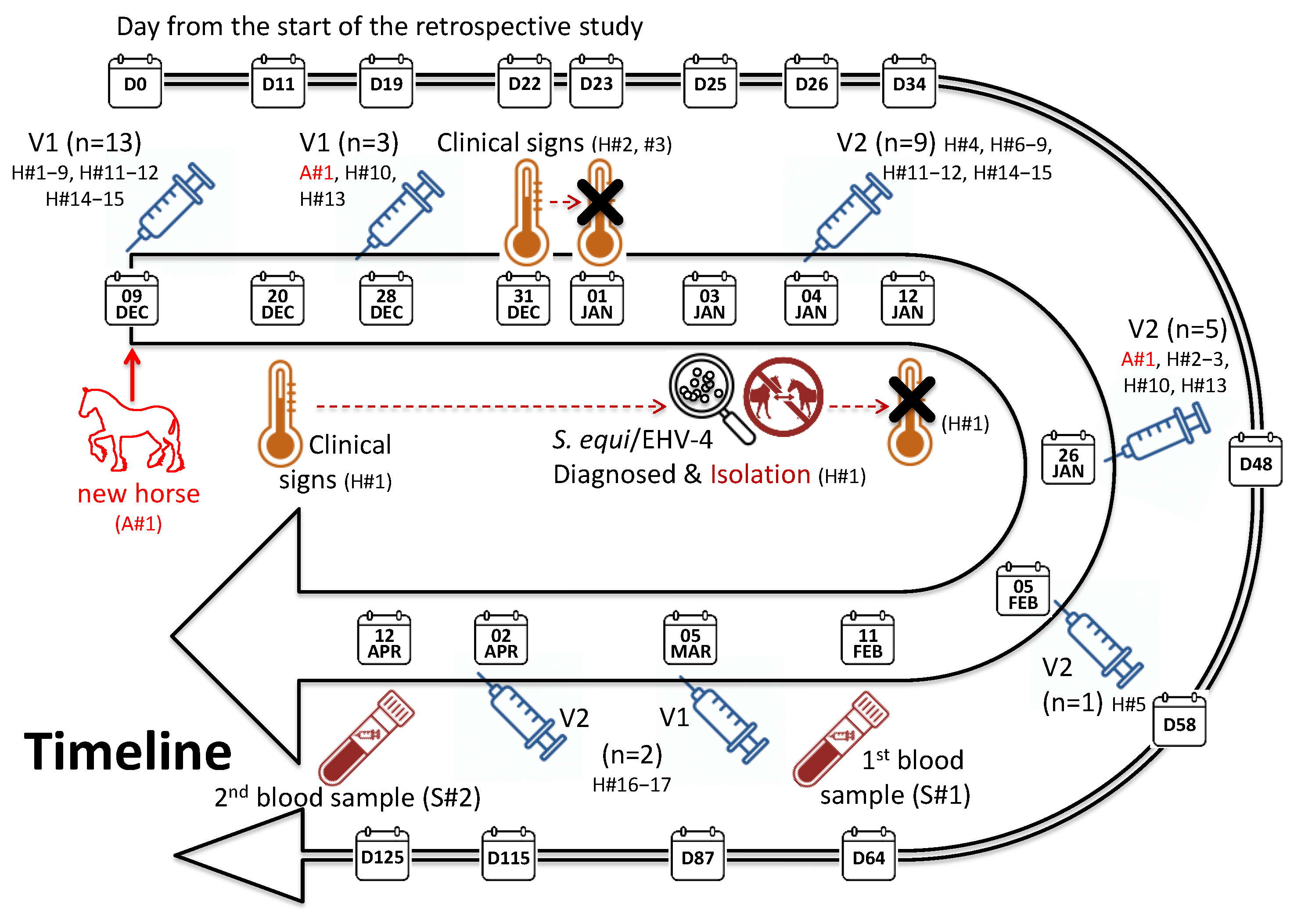 Preprints 184819 g001