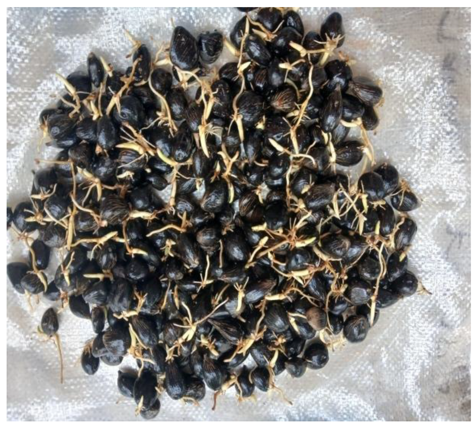 Preprints 182436 g001