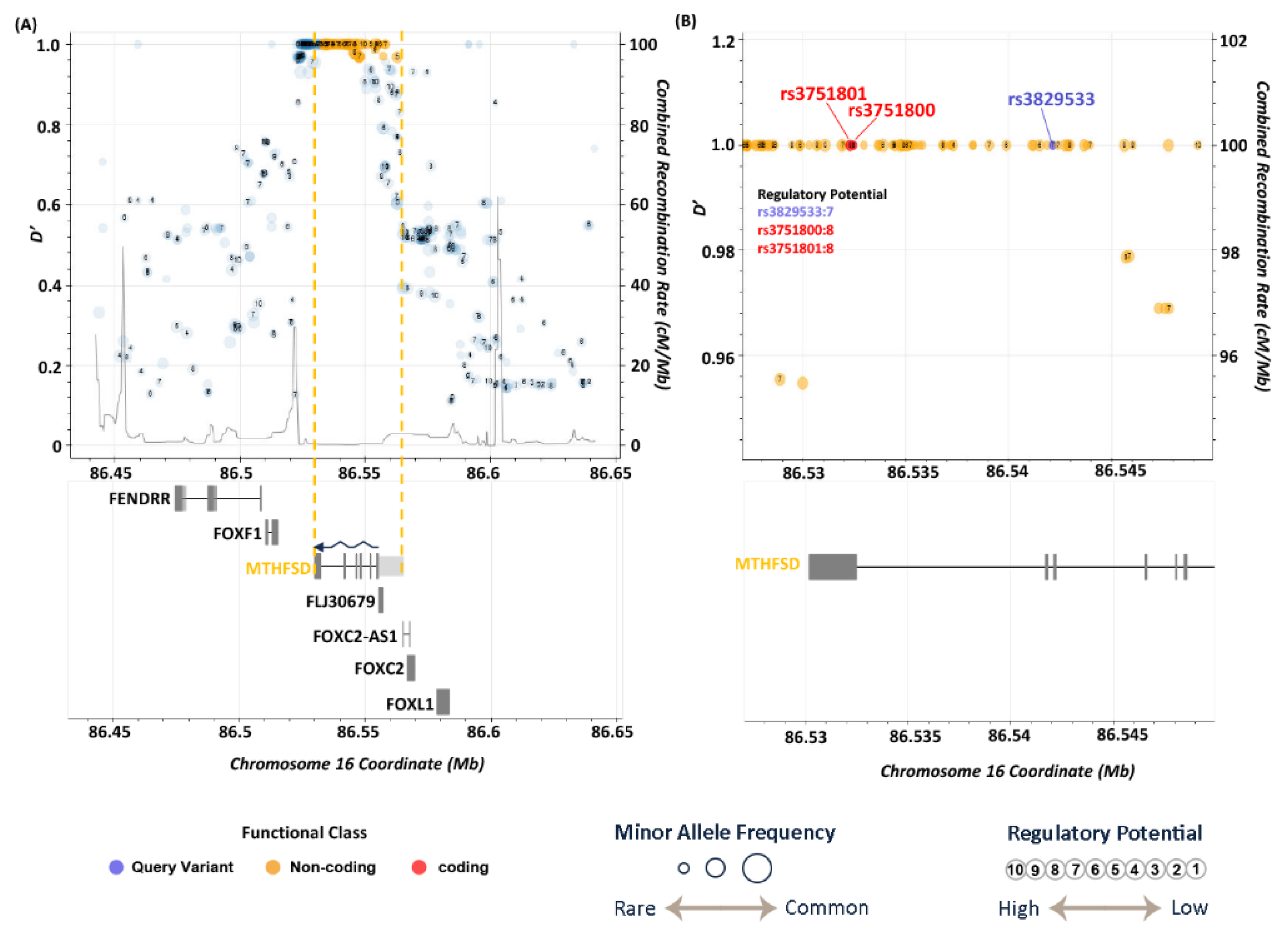 Preprints 149595 g005