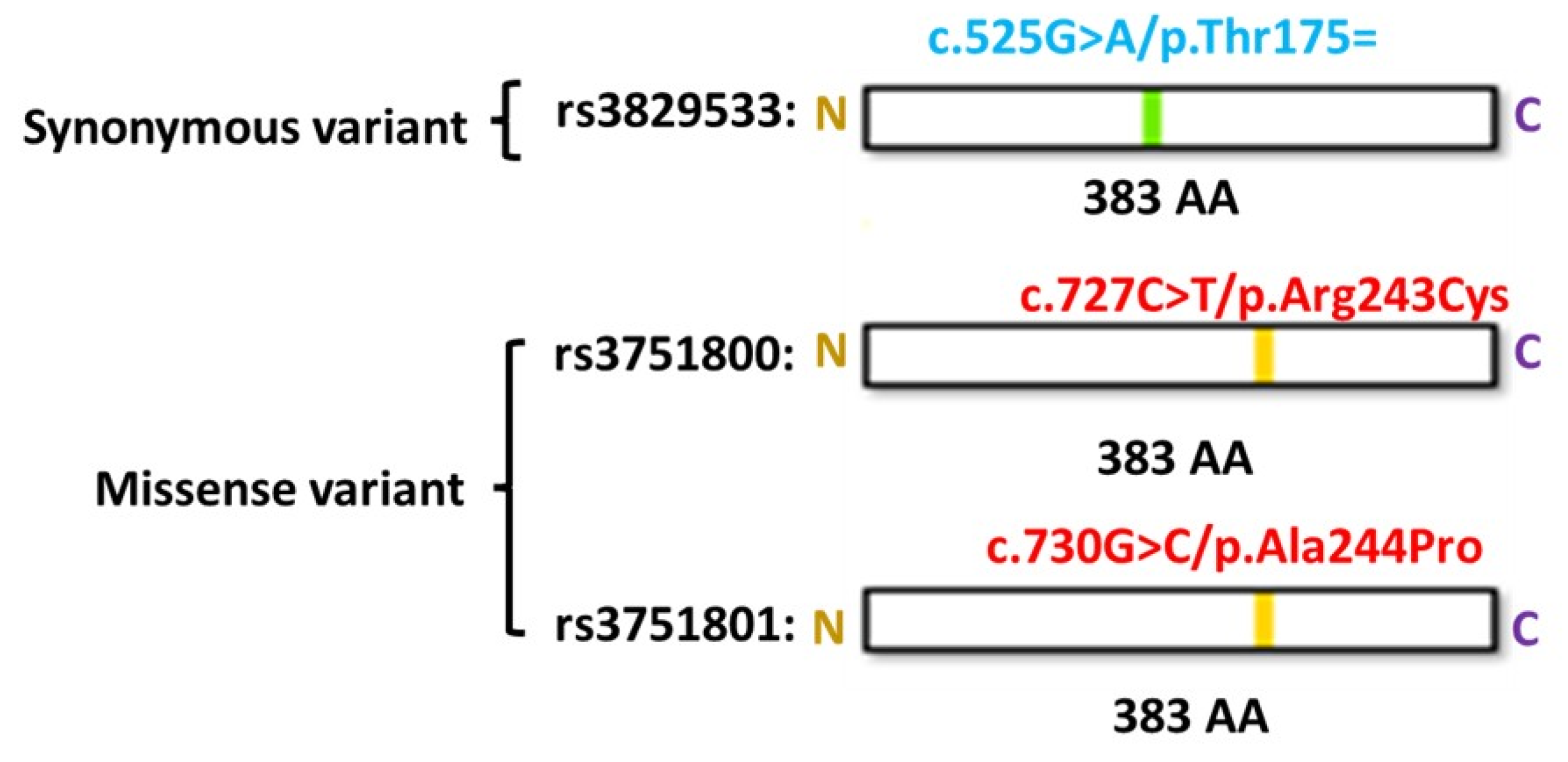 Preprints 149595 g006