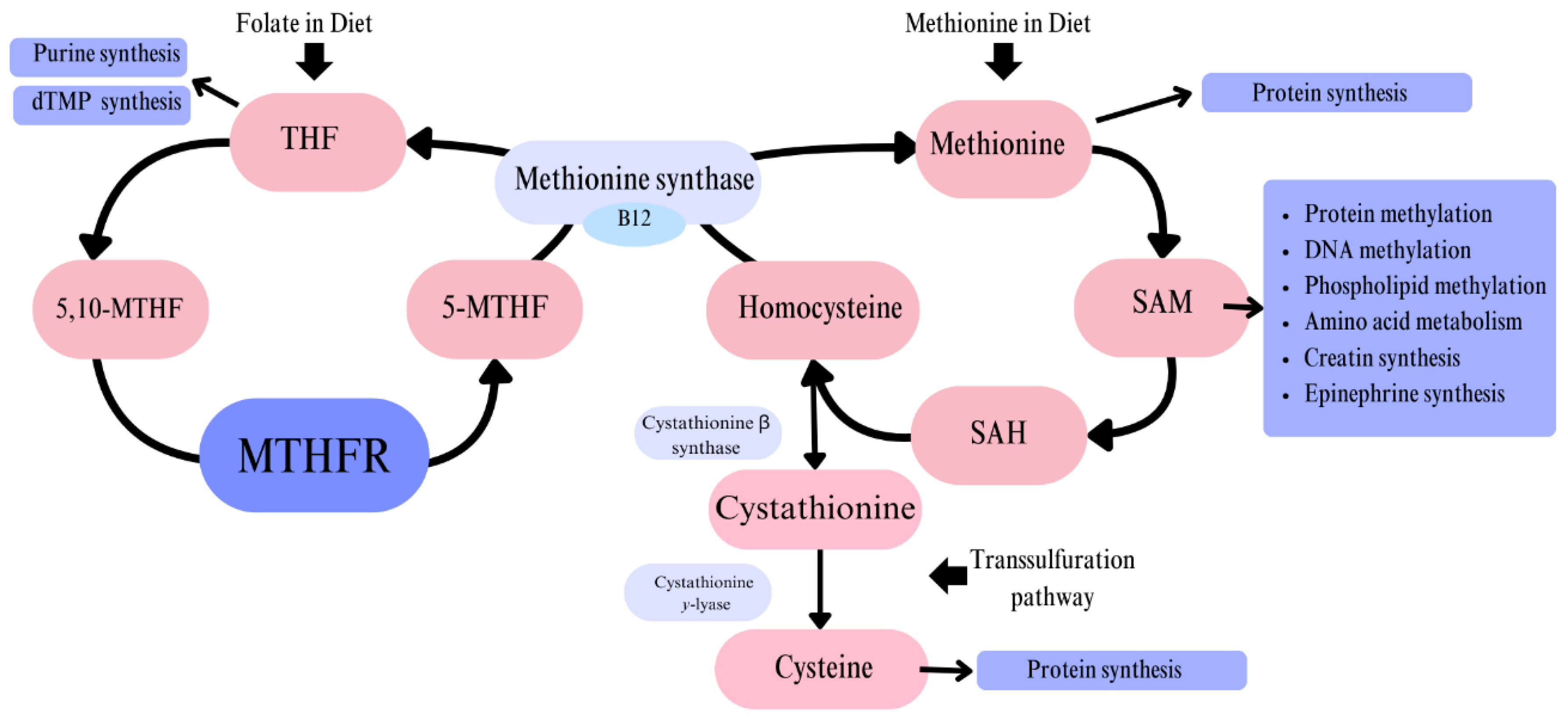 Preprints 152626 g001