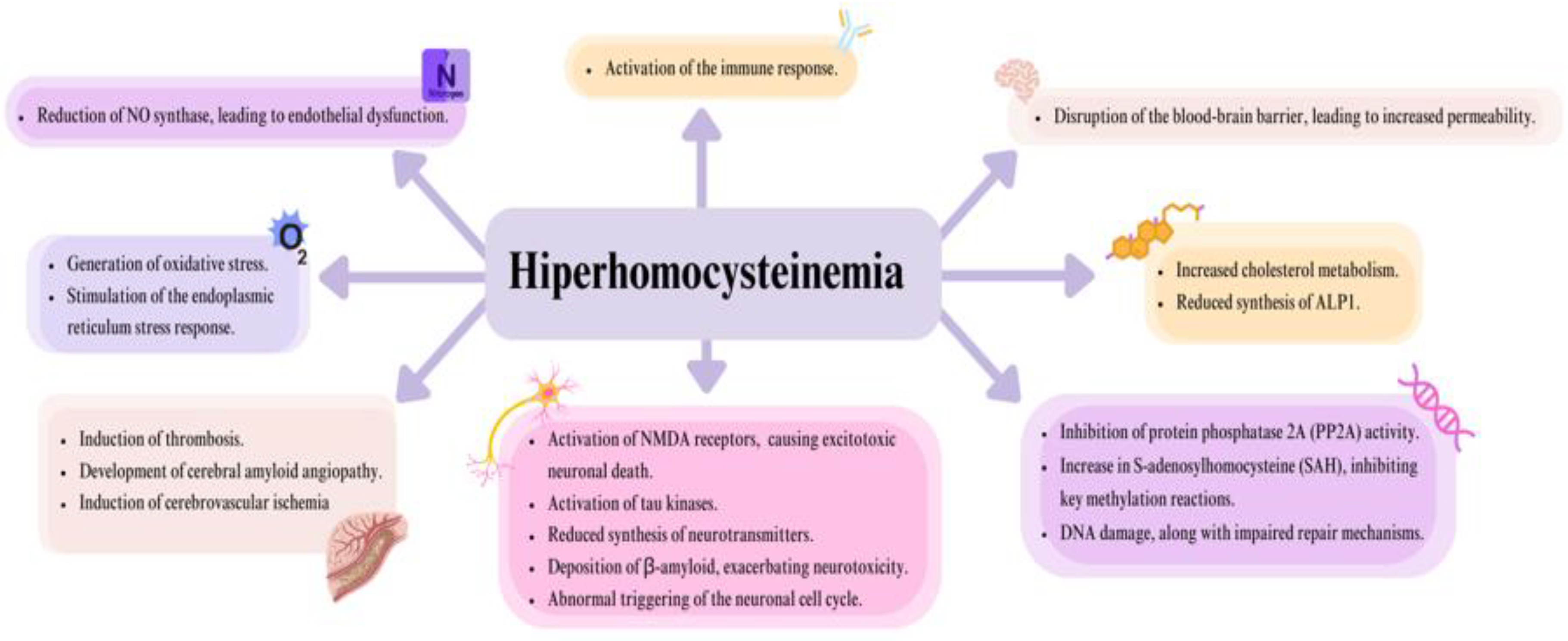 Preprints 152626 g002