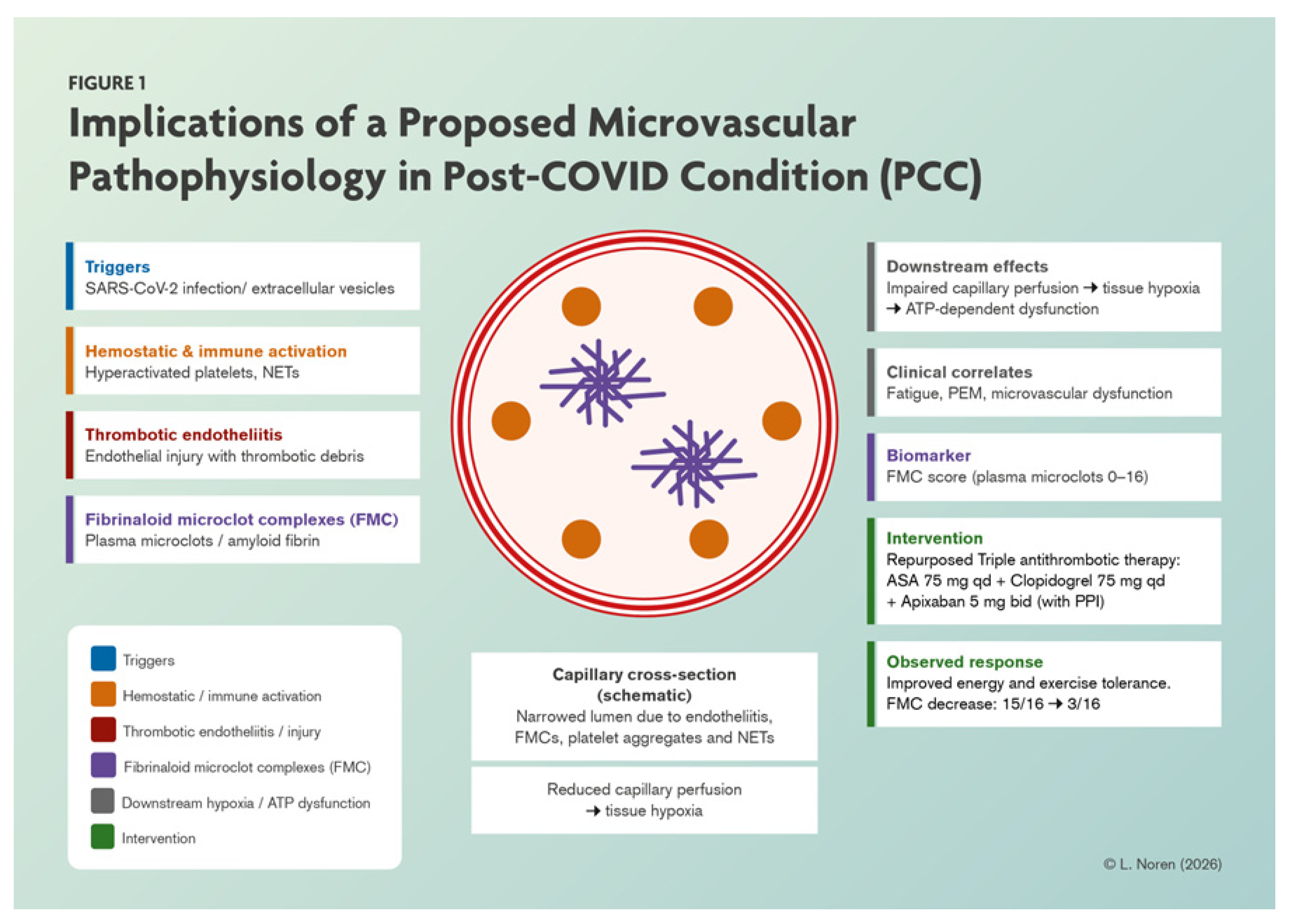 Preprints 198594 g004