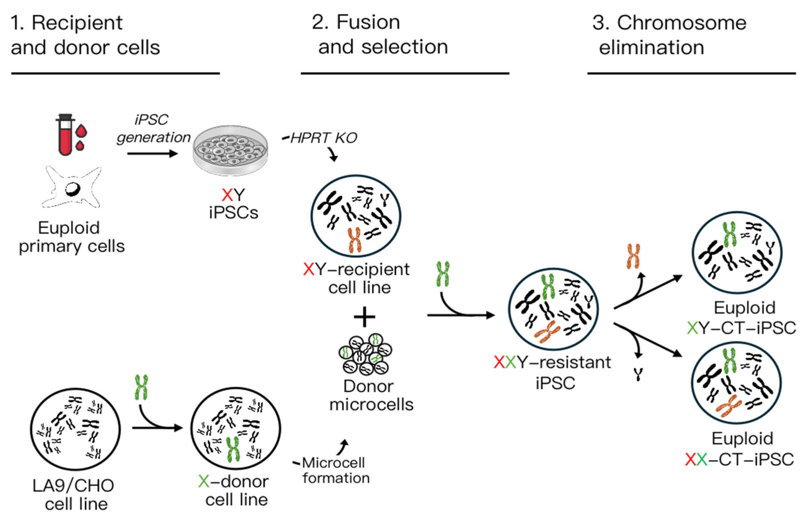 Preprints 101384 g001