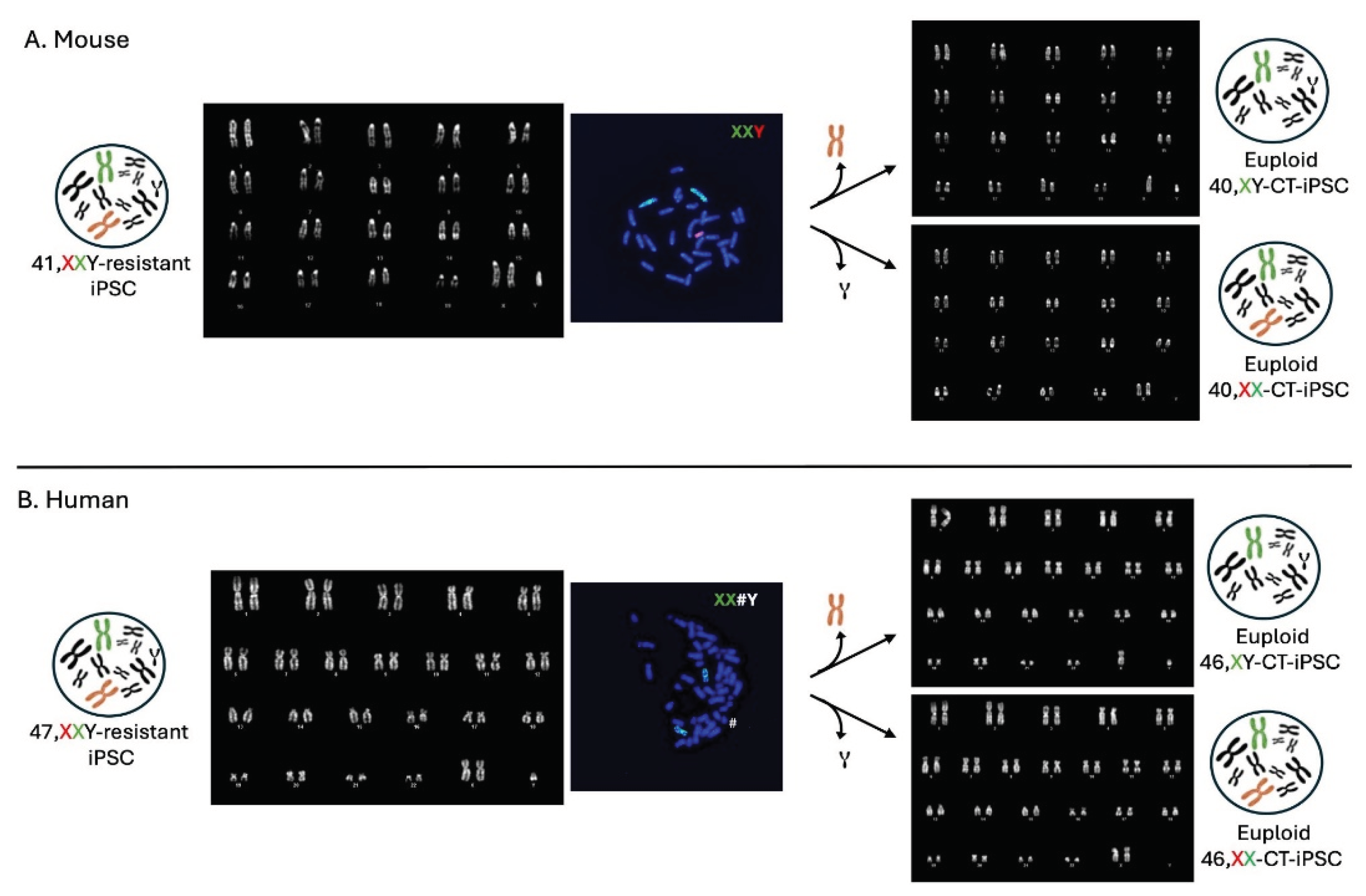 Preprints 101384 g002