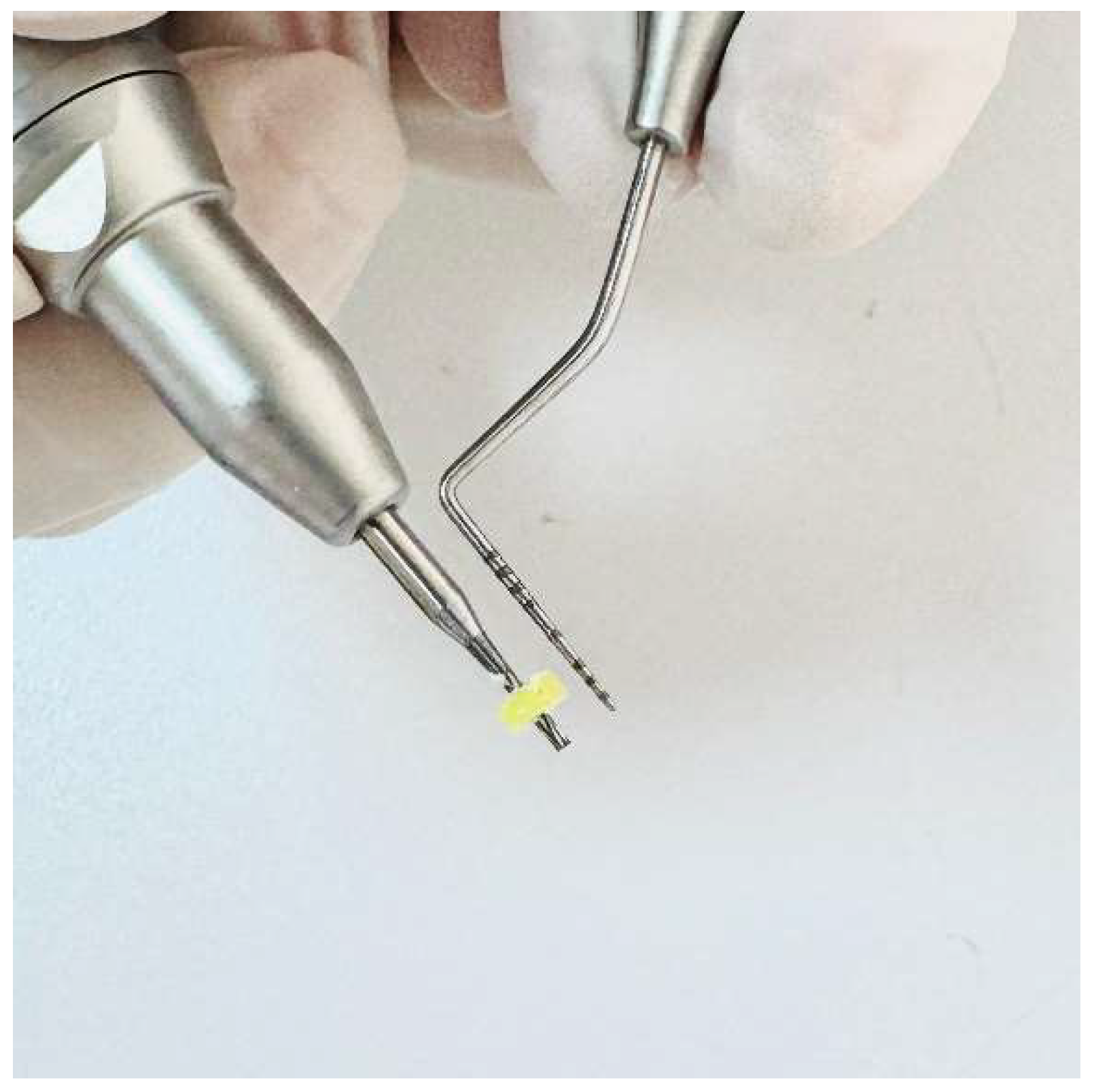 Preprints 150050 g002