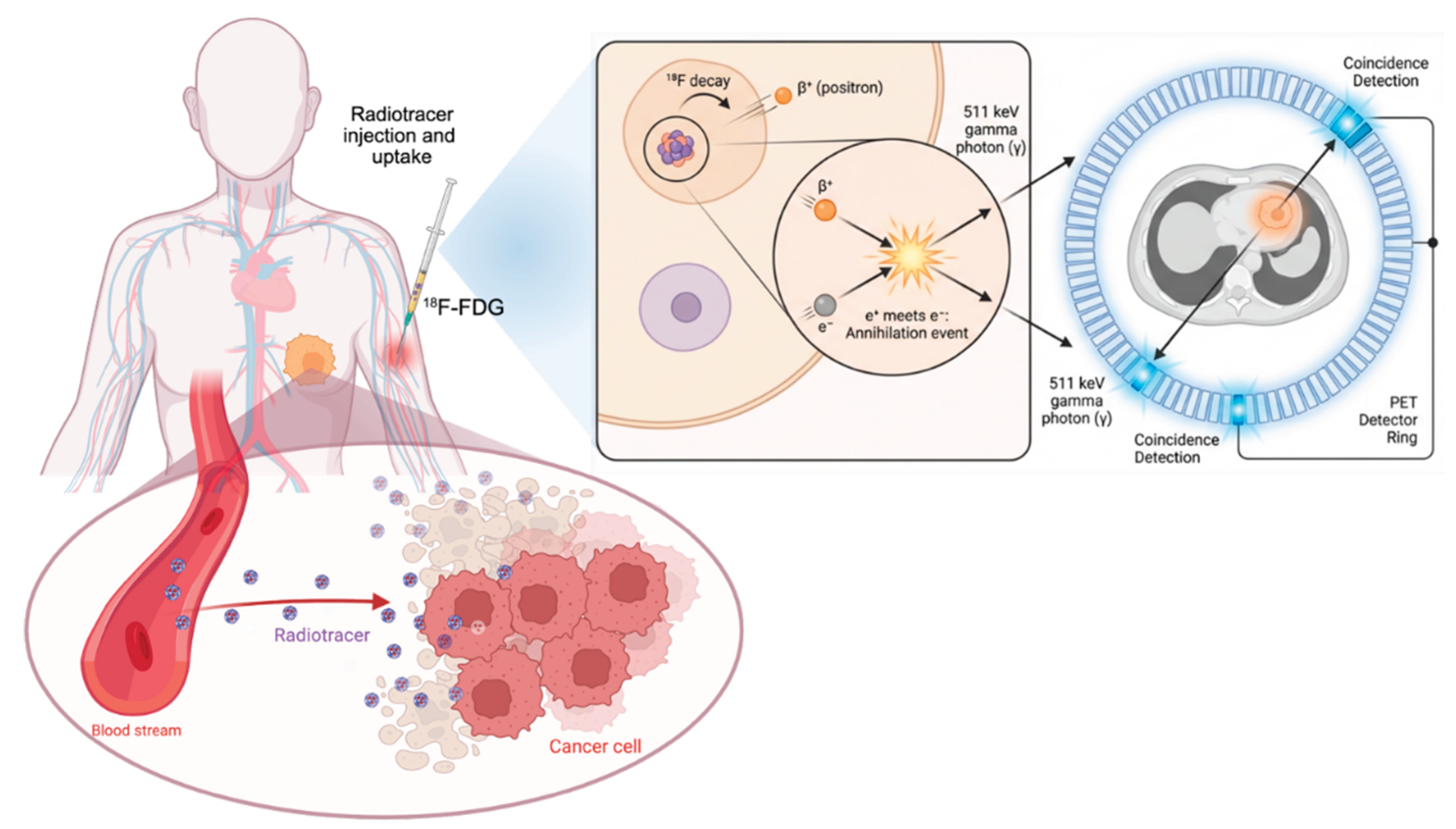 Preprints 207138 g001 Preprints 207138 g001