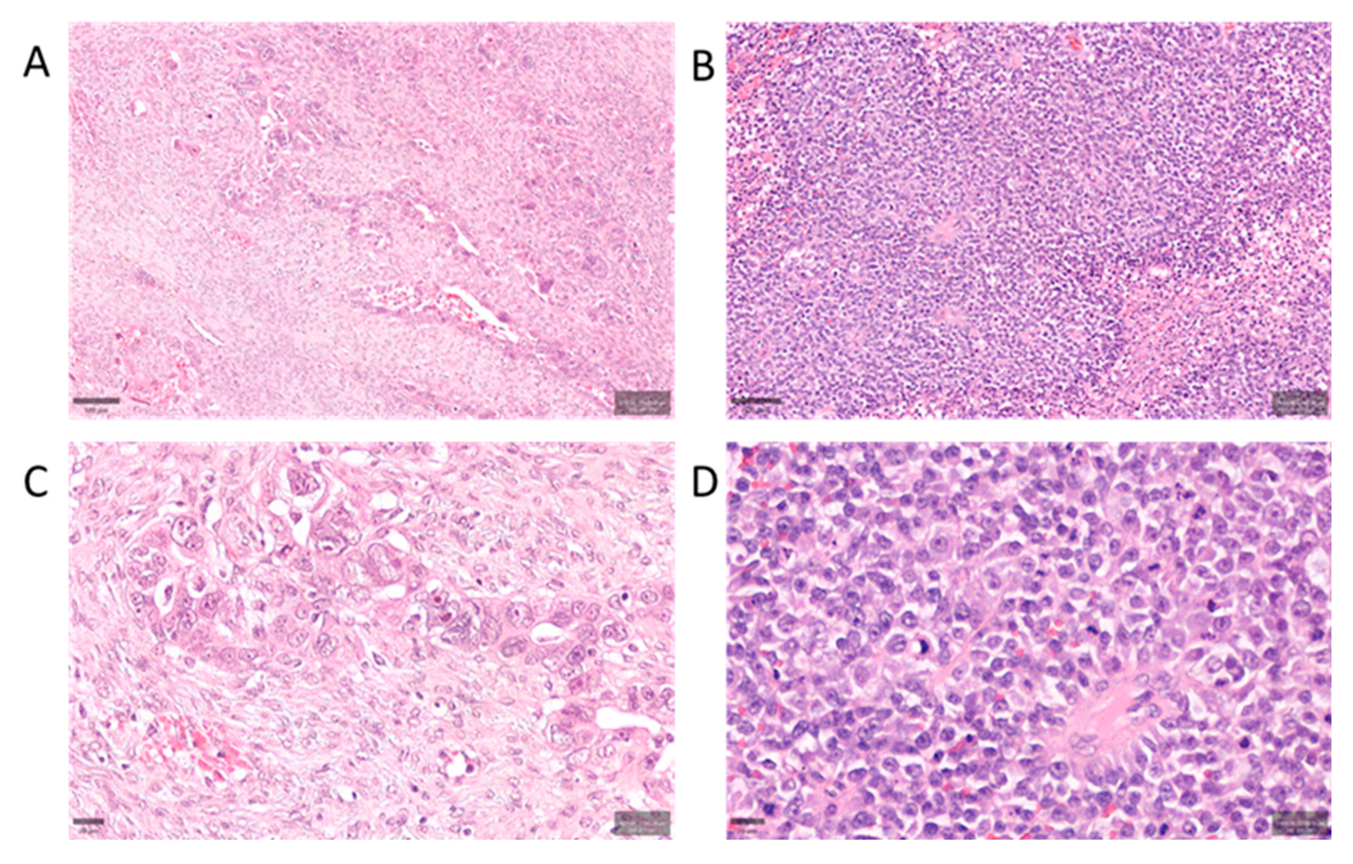 Preprints 177926 g001
