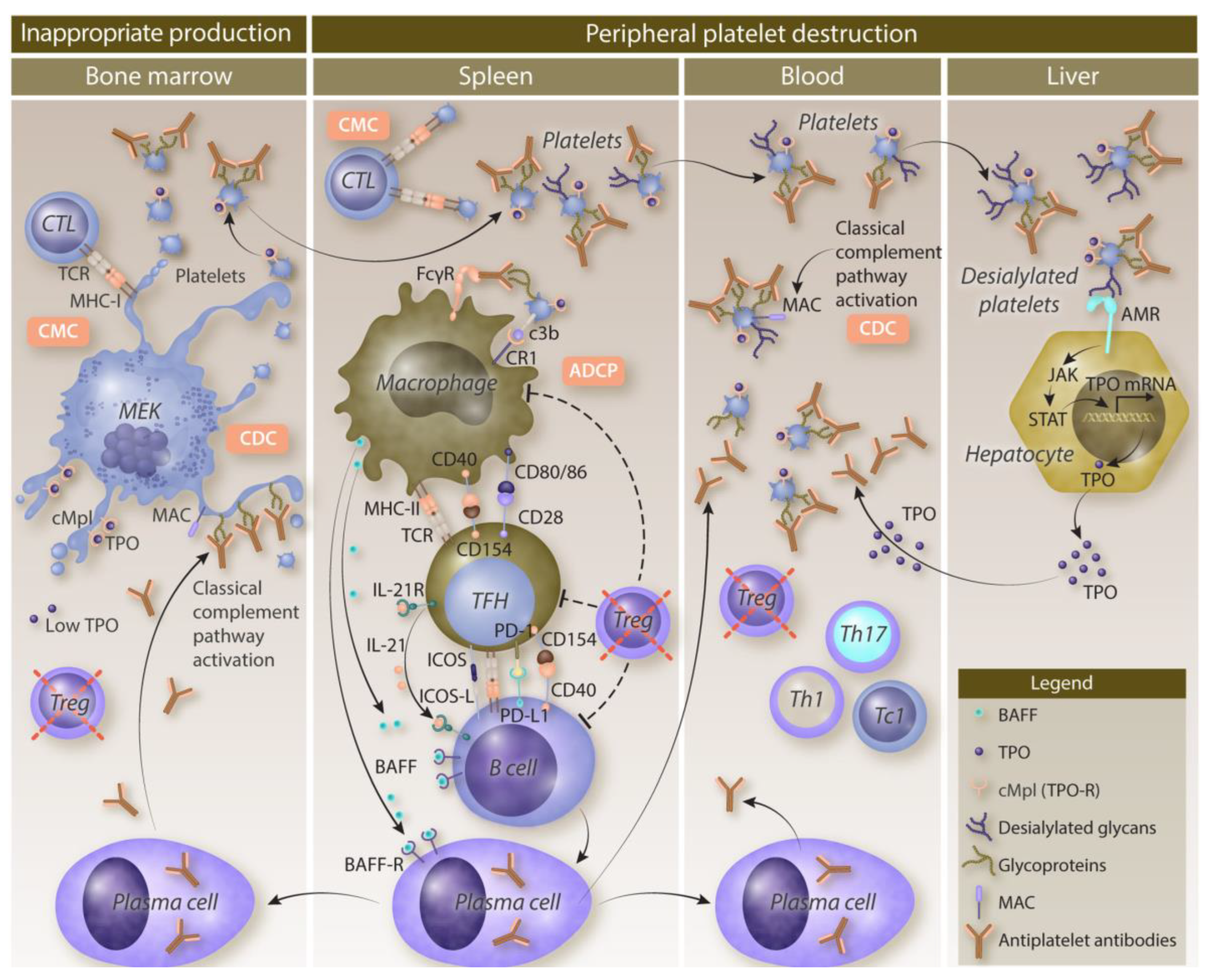 Preprints 196384 g001