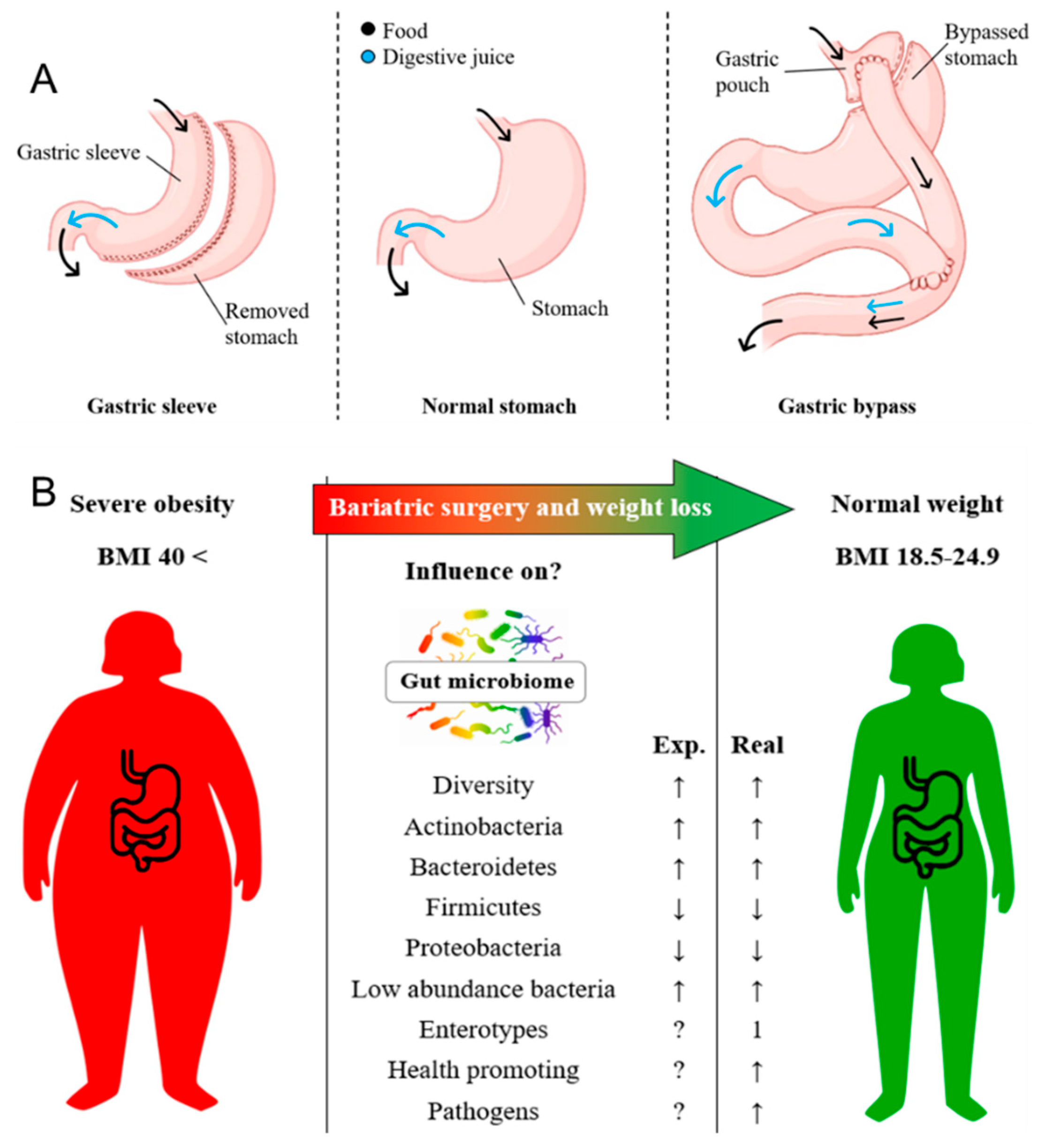 Preprints 97580 g001