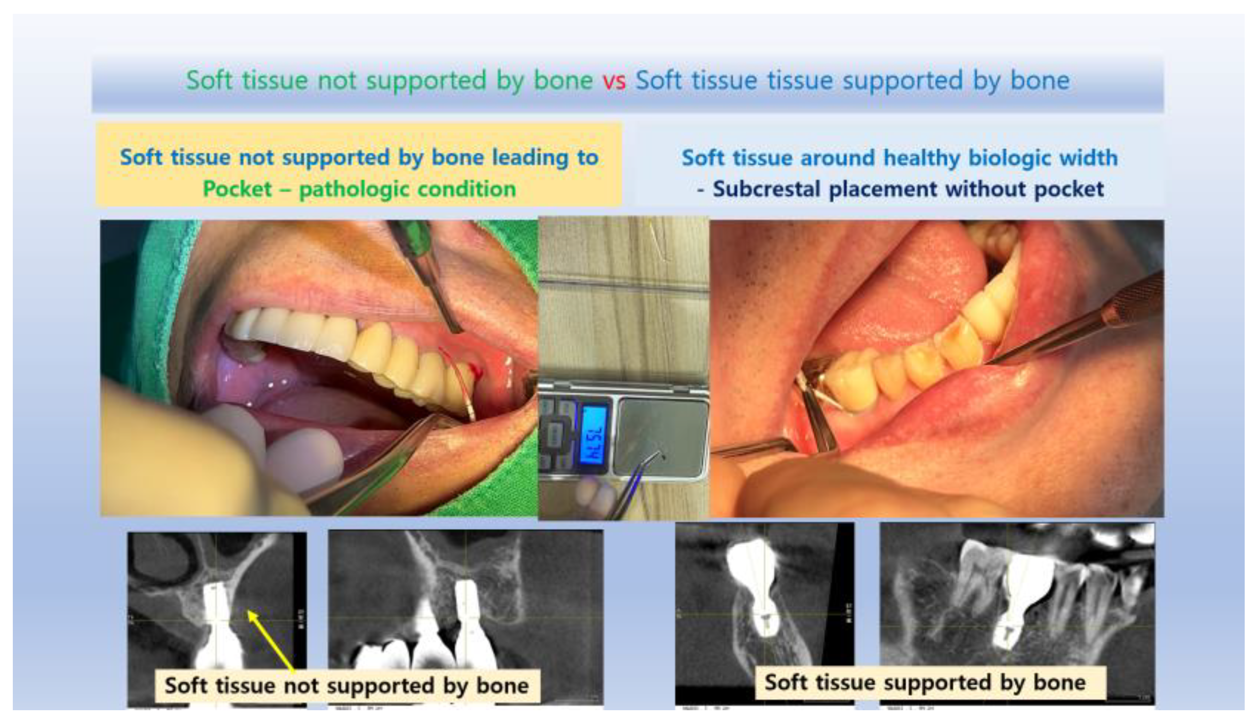 Preprints 144401 g015