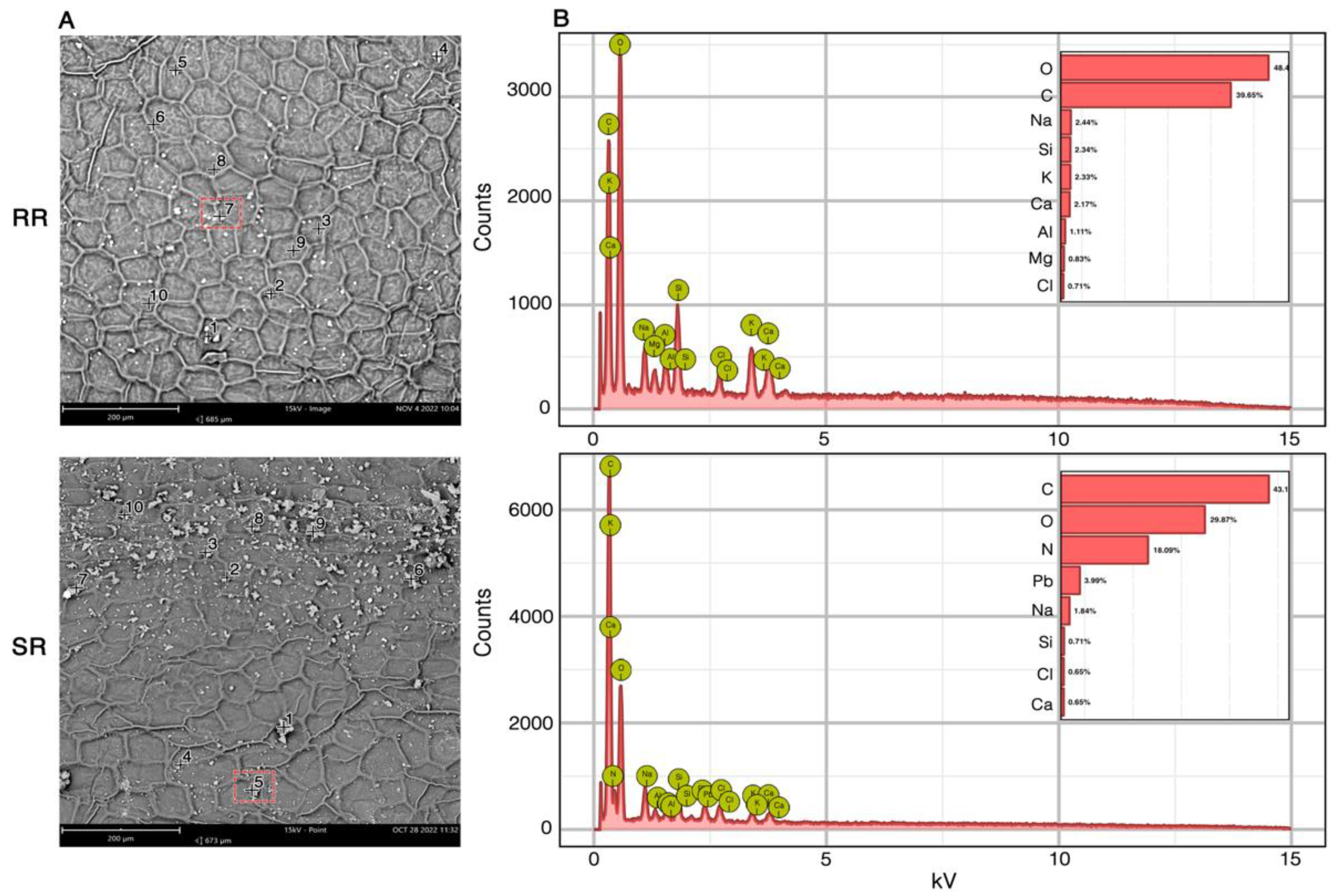 Preprints 174856 g002