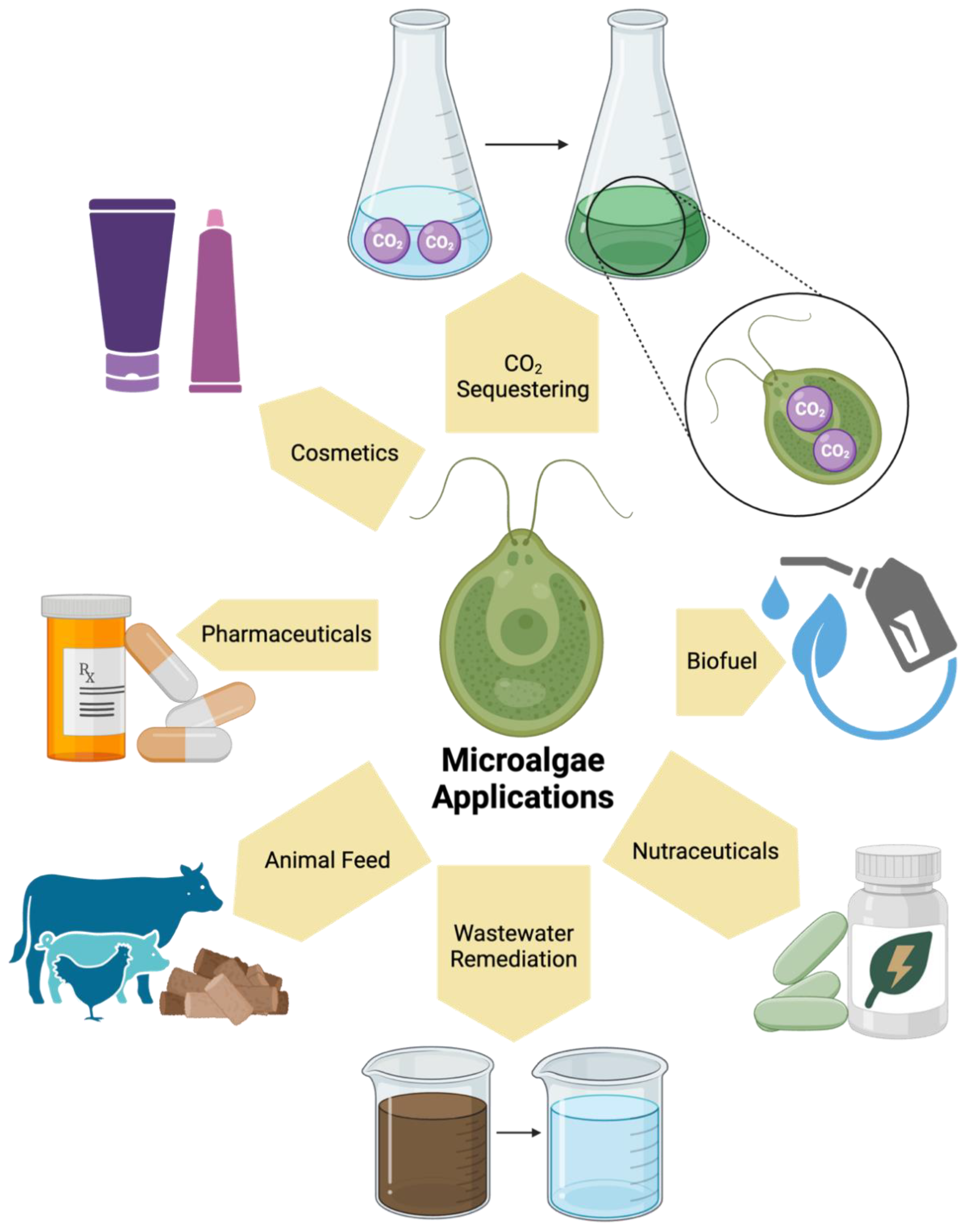 Preprints 118326 g001