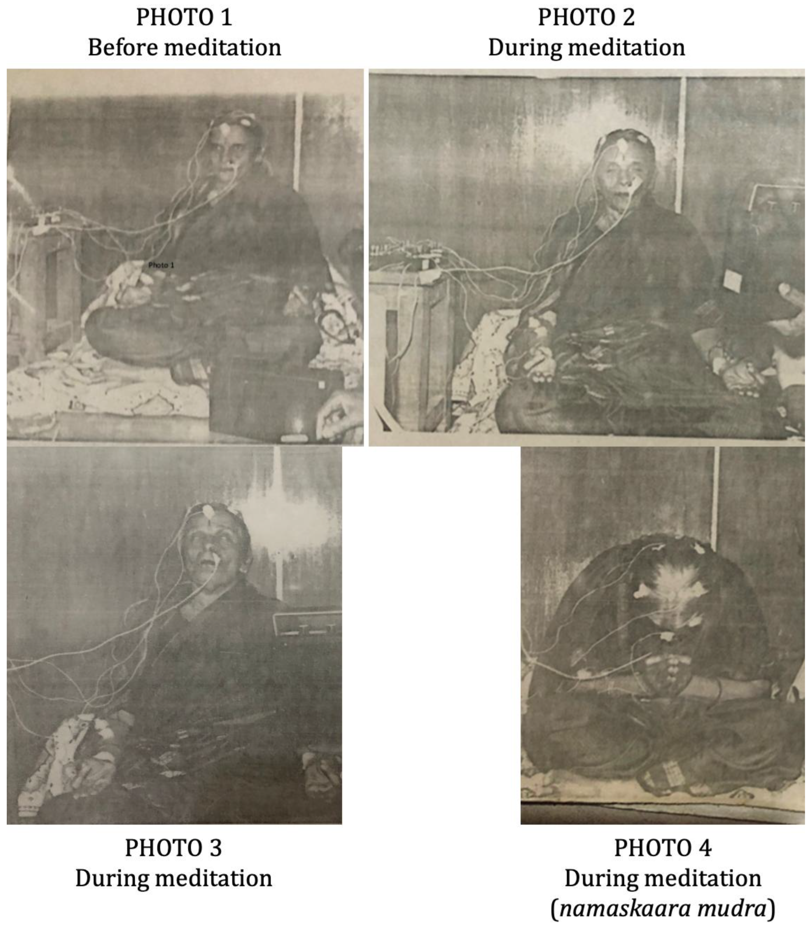 Preprints 157147 g001