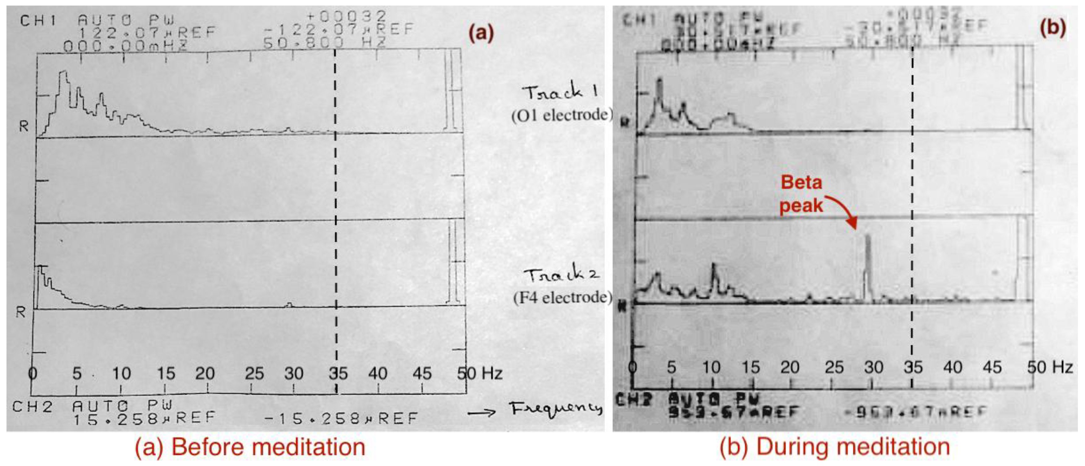 Preprints 157147 g007