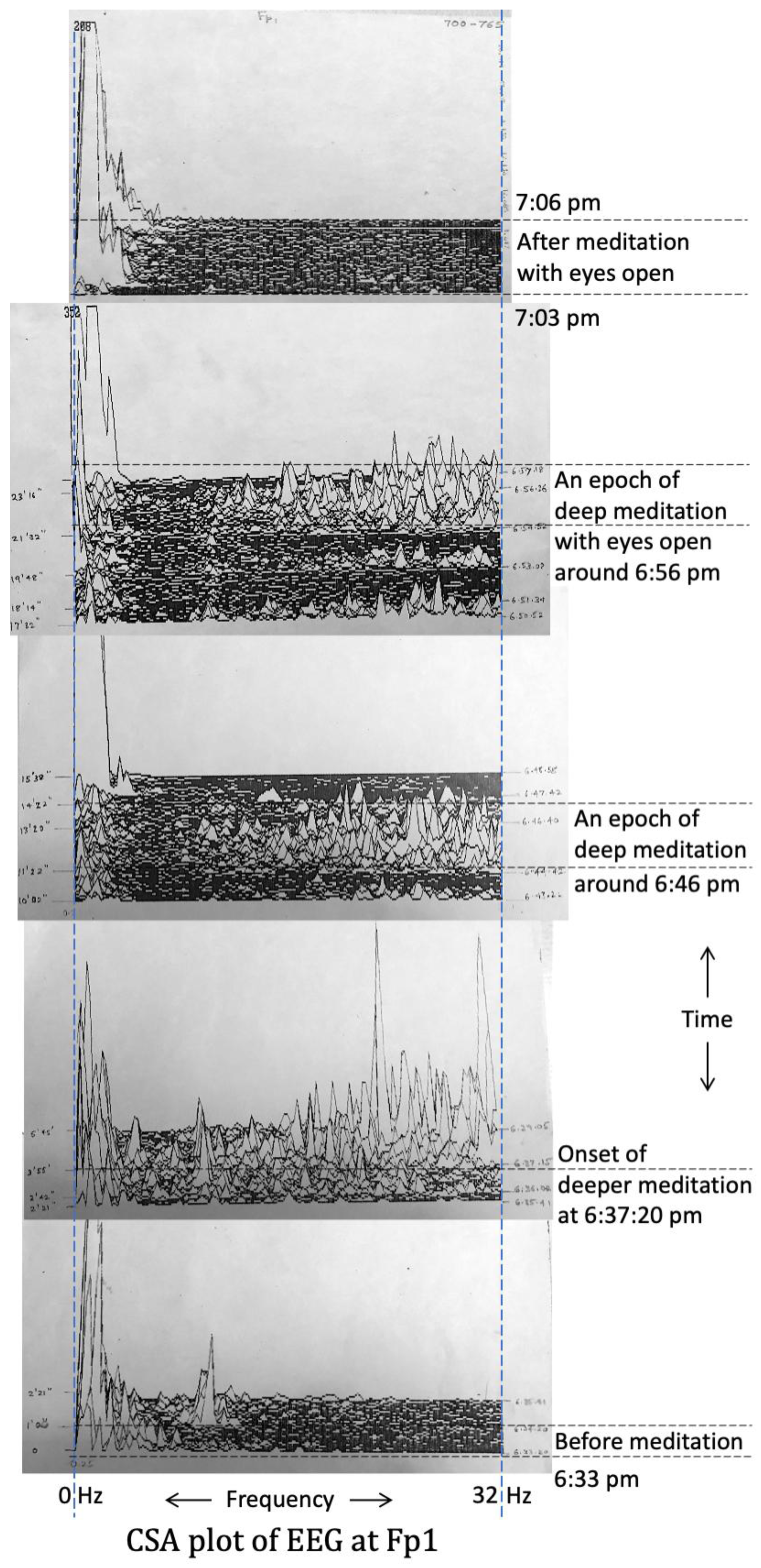 Preprints 157147 g011