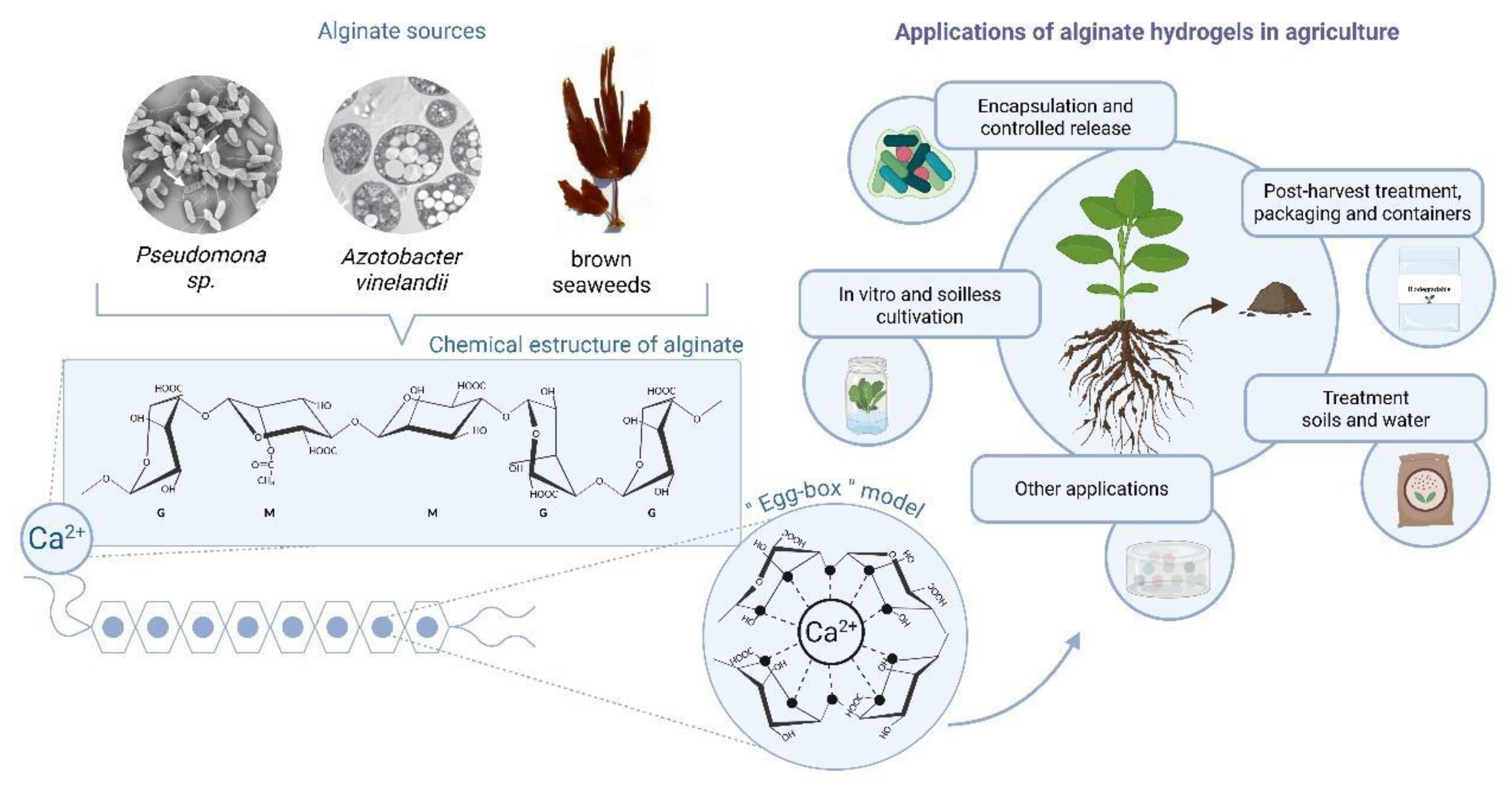 Preprints 186539 g001