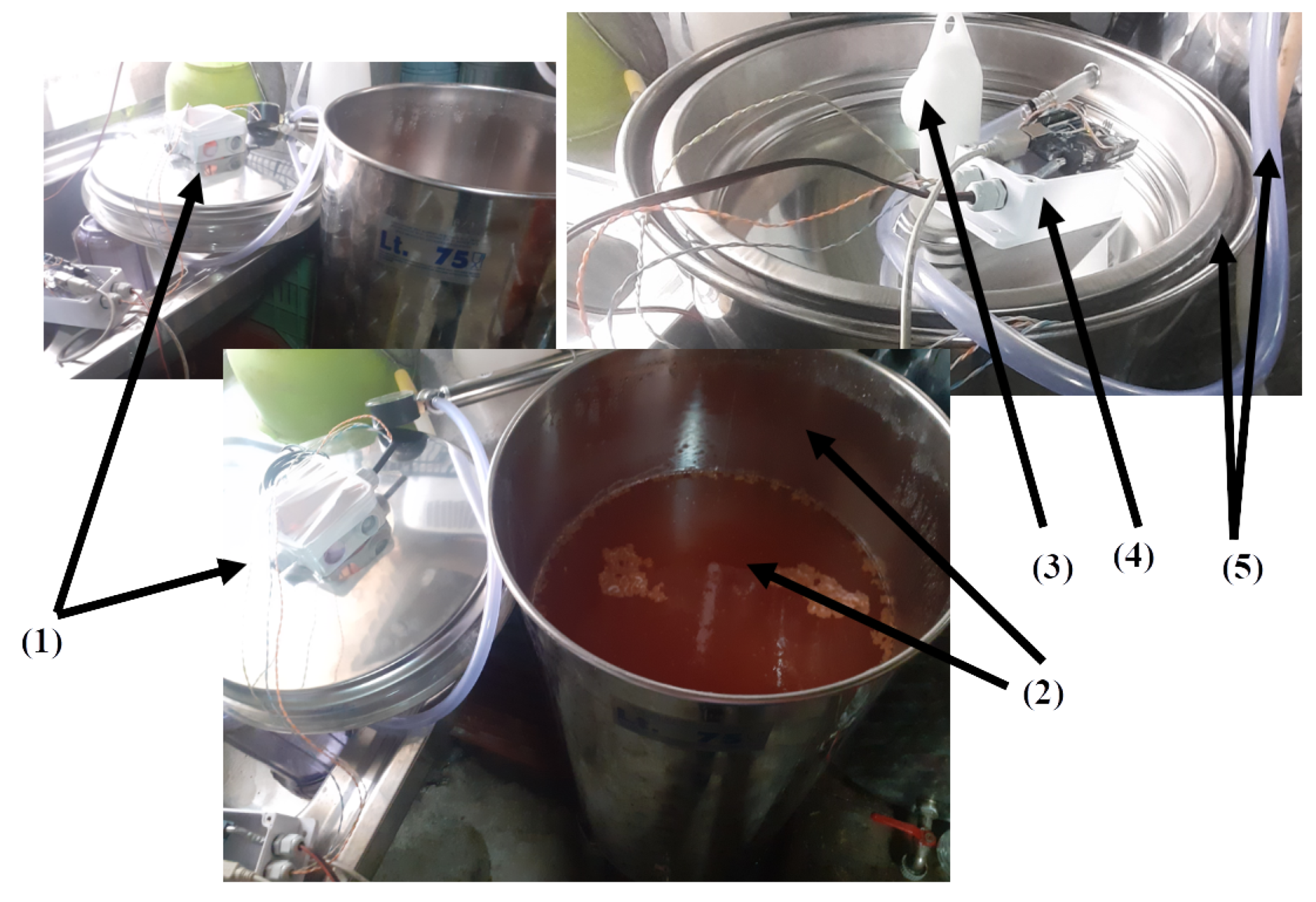 Preprints 161233 g006