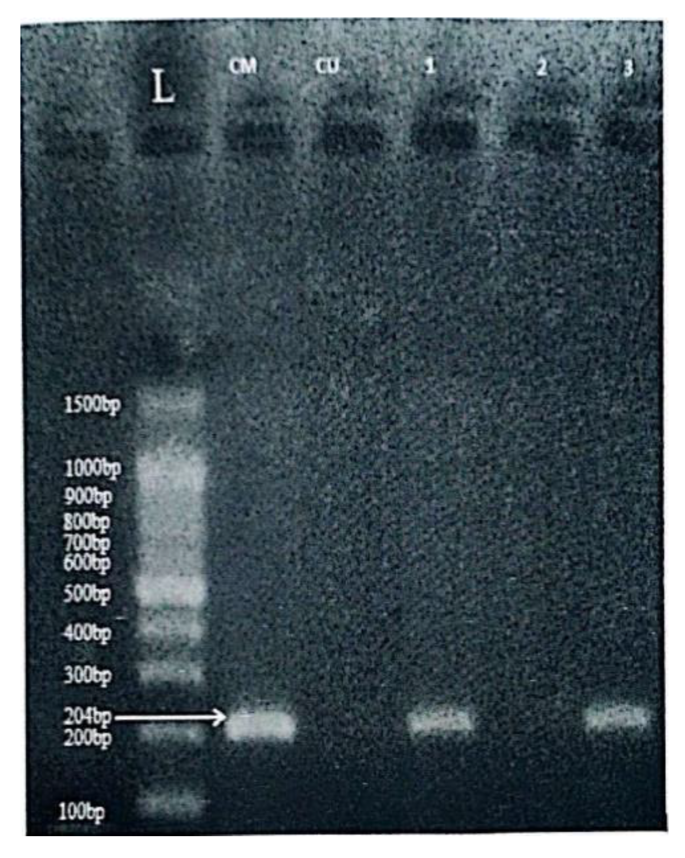 Preprints 188013 g001