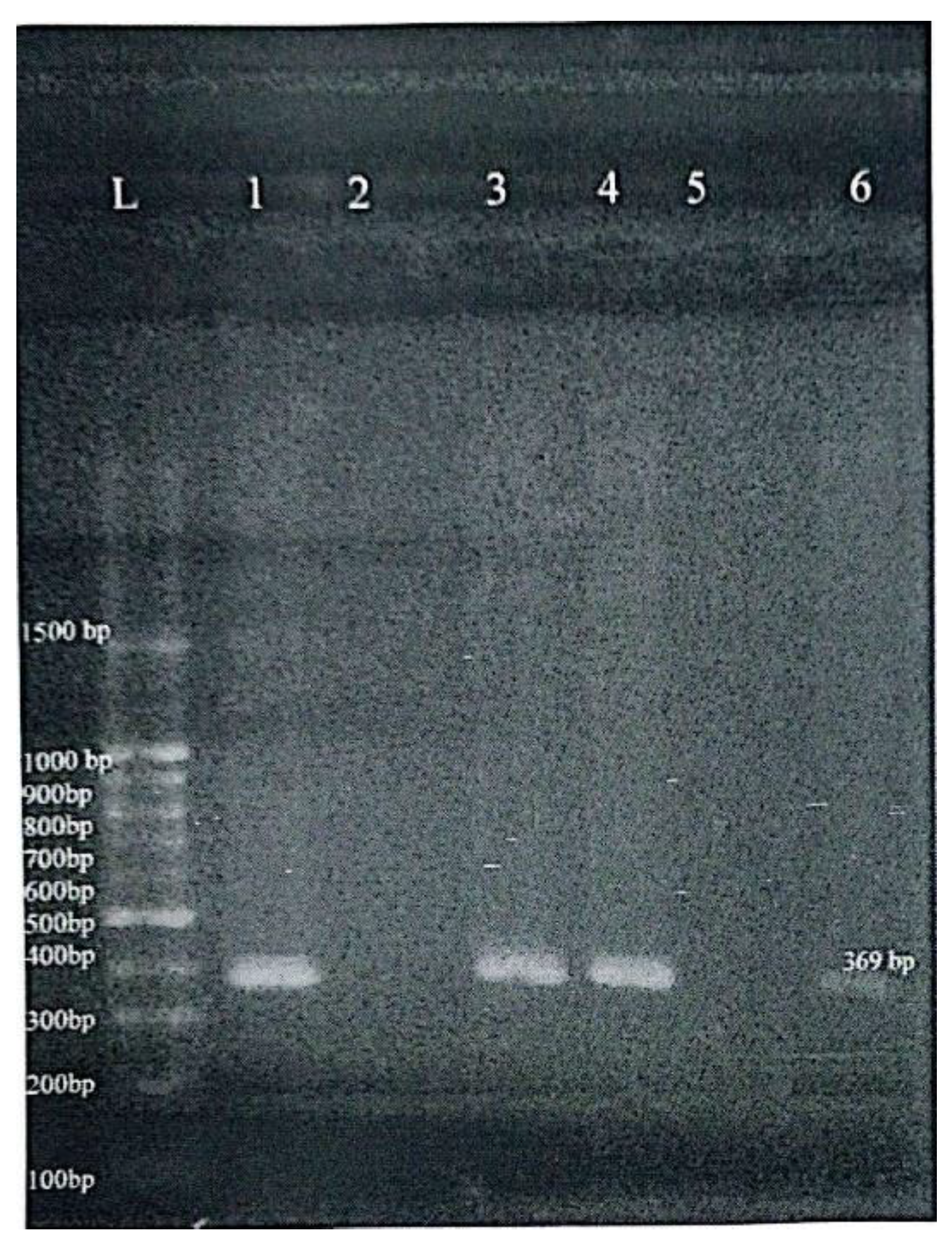 Preprints 188013 g002