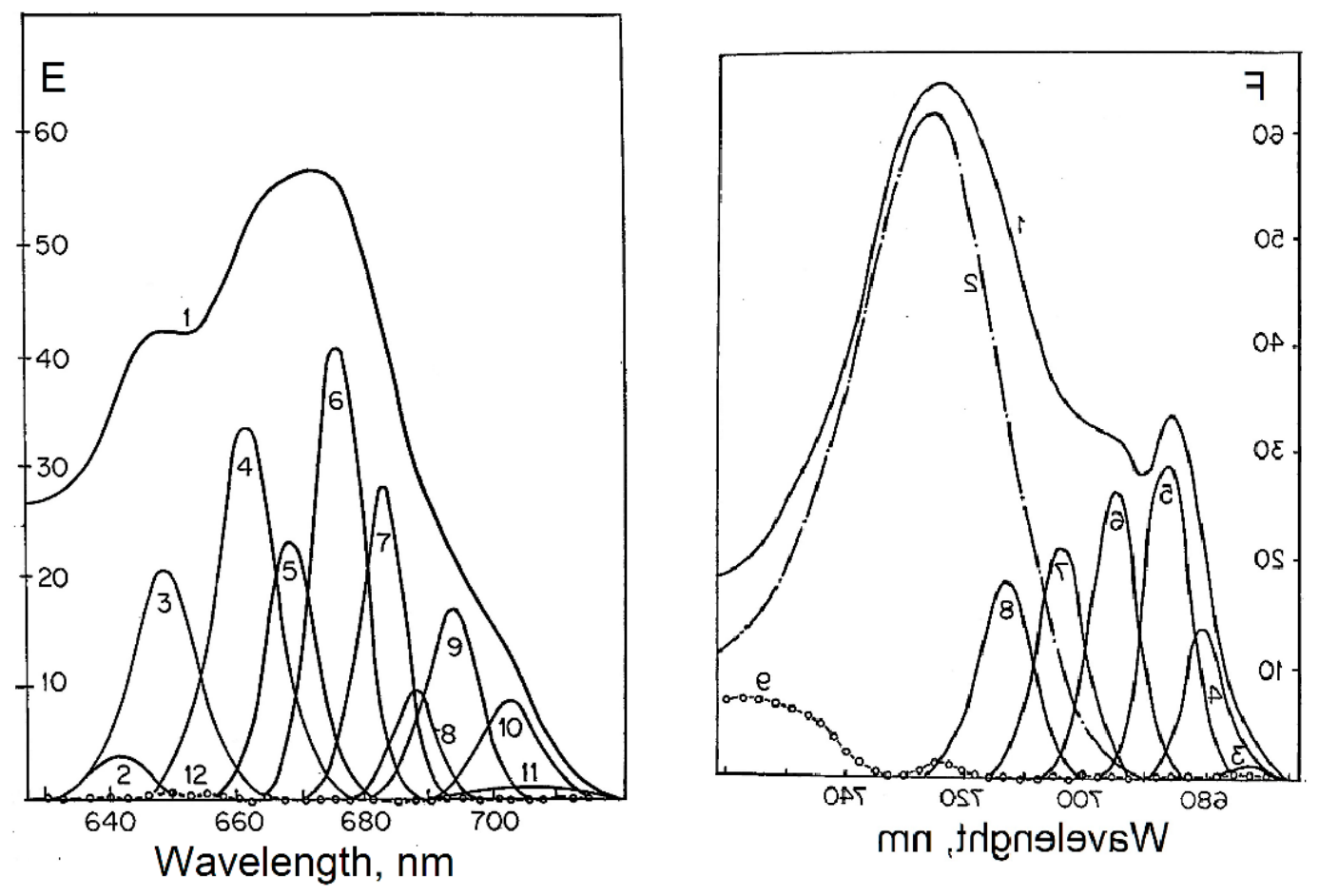 Preprints 224108 g002
