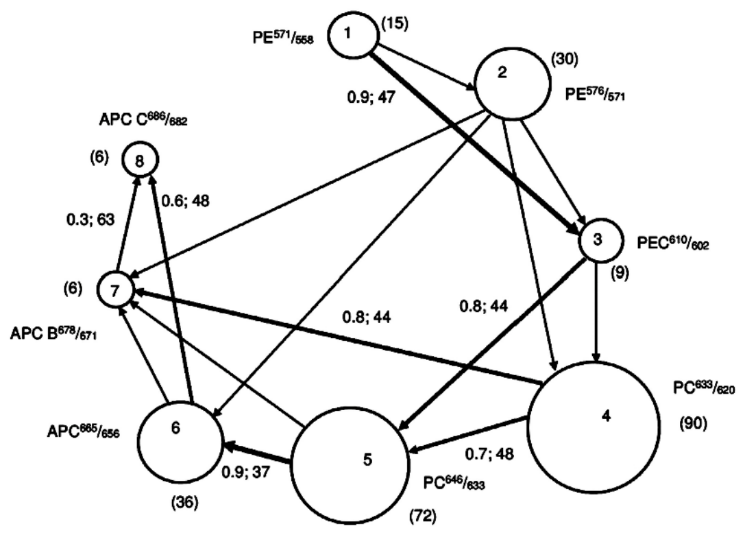Preprints 224108 g004