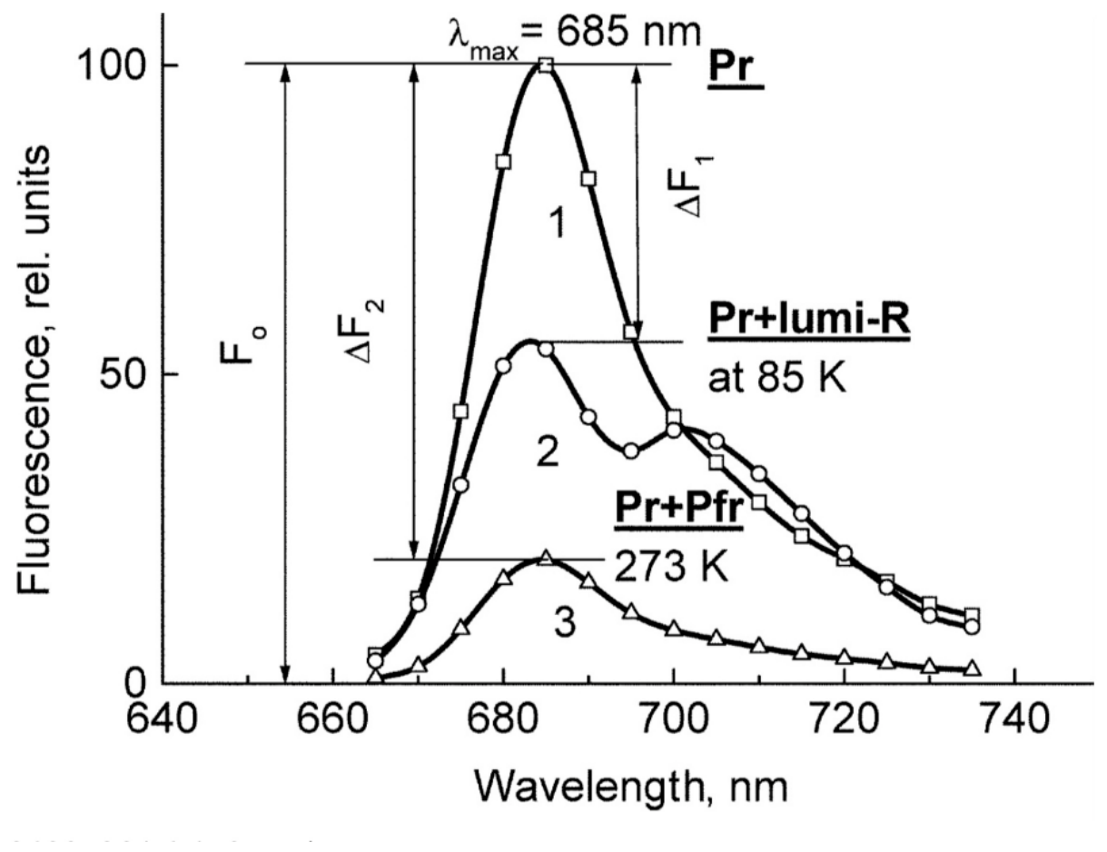Preprints 224108 g008