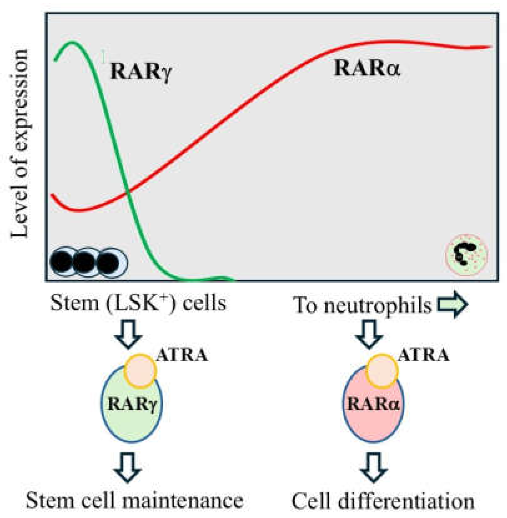 Preprints 192377 g001