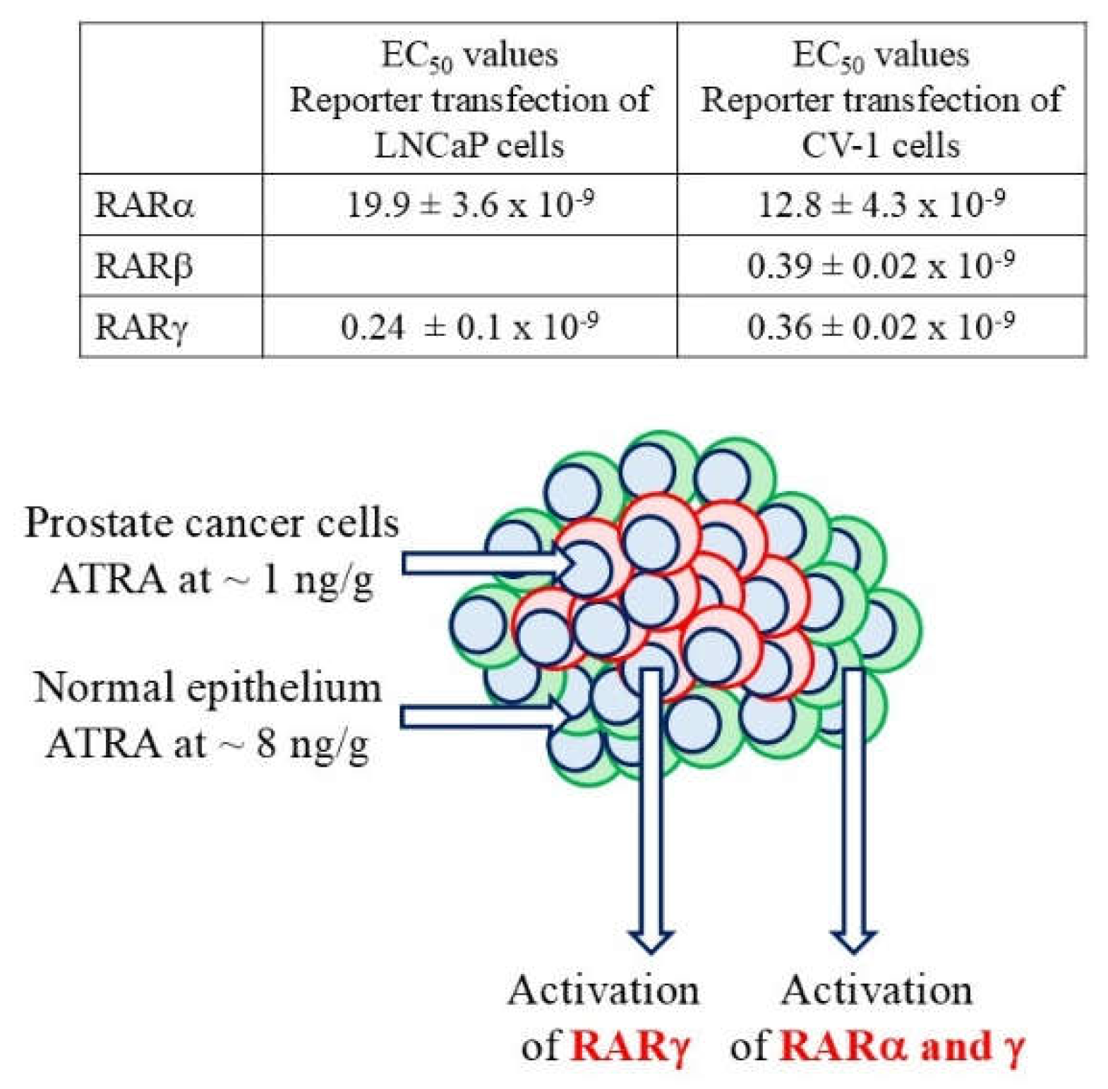 Preprints 192377 g003